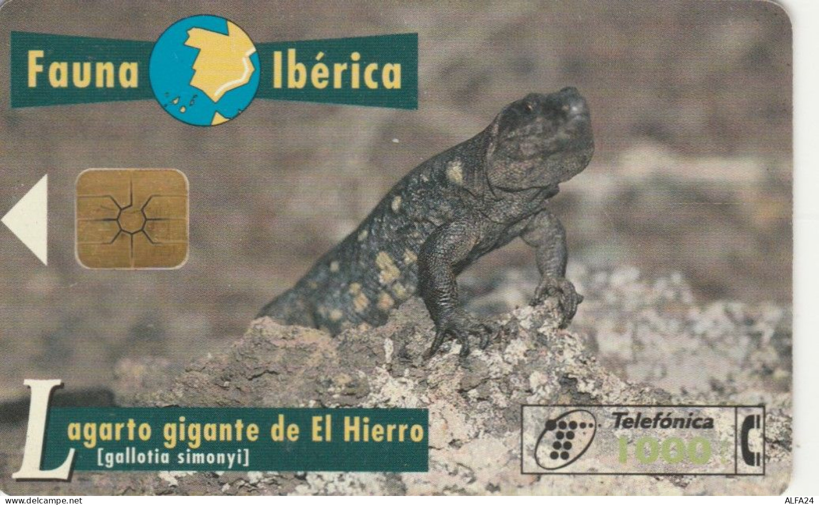 PHONE CARD SPAGNA FAUNA IBERICA (CK7197 - Emissions Basiques