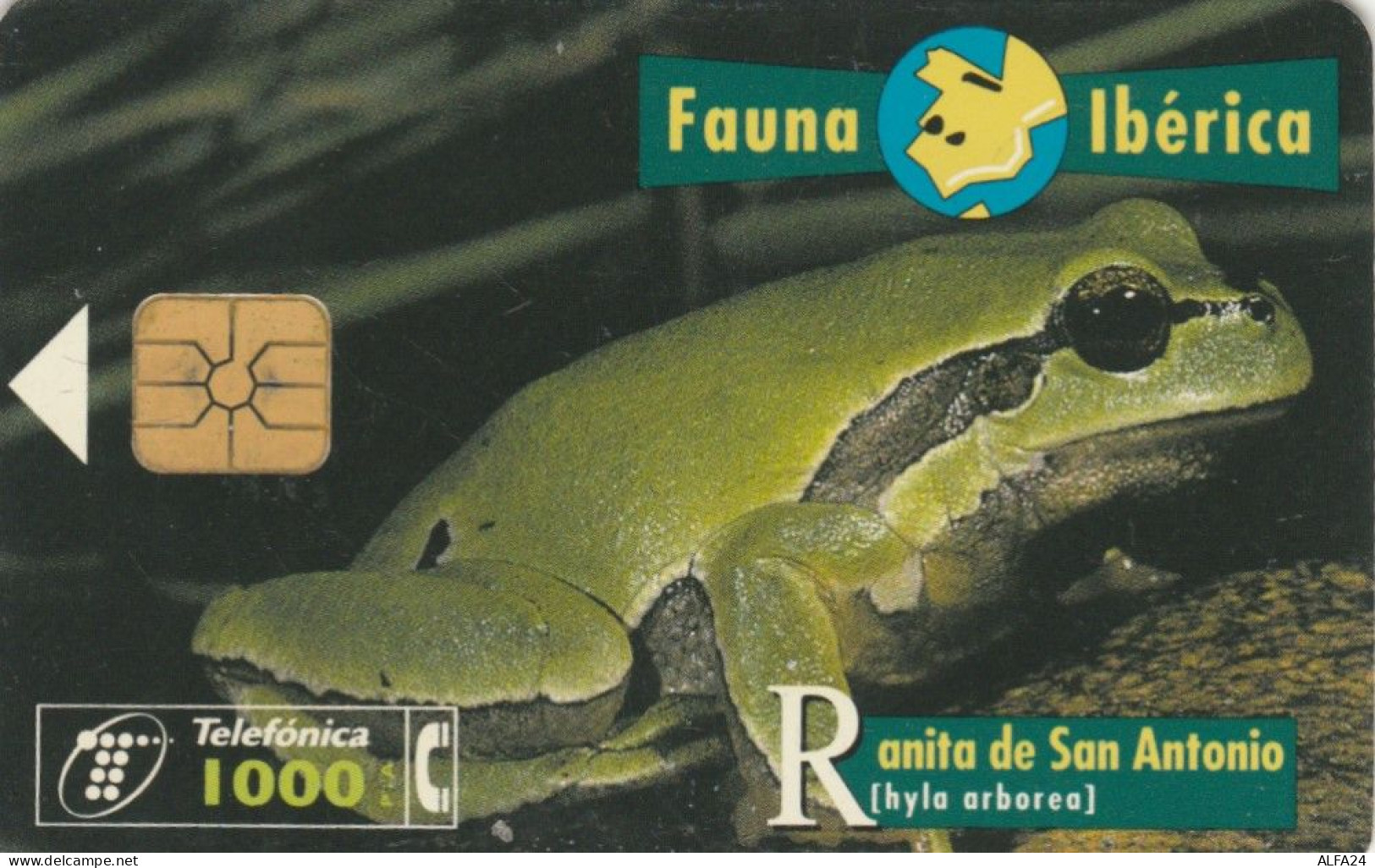 PHONE CARD SPAGNA FAUNA IBERICA (CK7198 - Emisiones Básicas