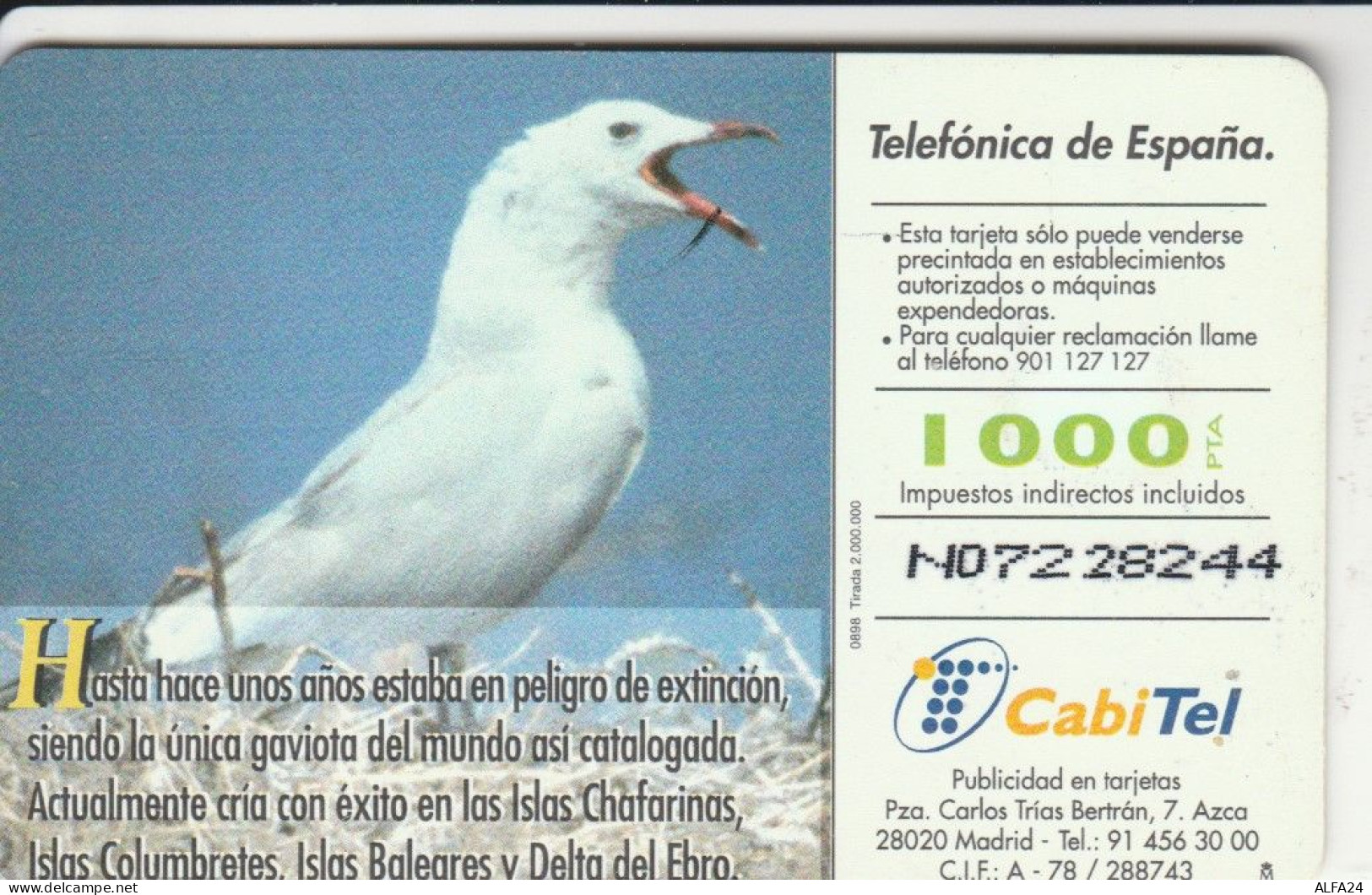 PHONE CARD SPAGNA FAUNA IBERICA (CK7193 - Emissions Basiques