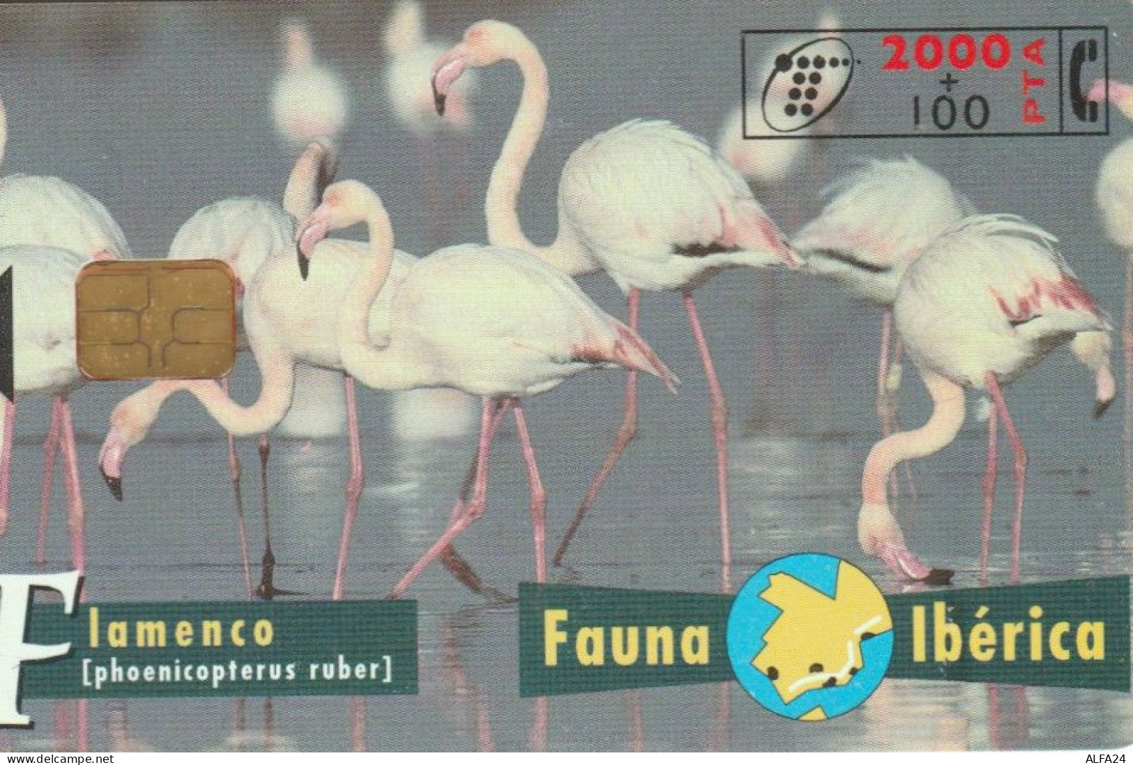 PHONE CARD SPAGNA FAUNA IBERICA (CK7195 - Emisiones Básicas