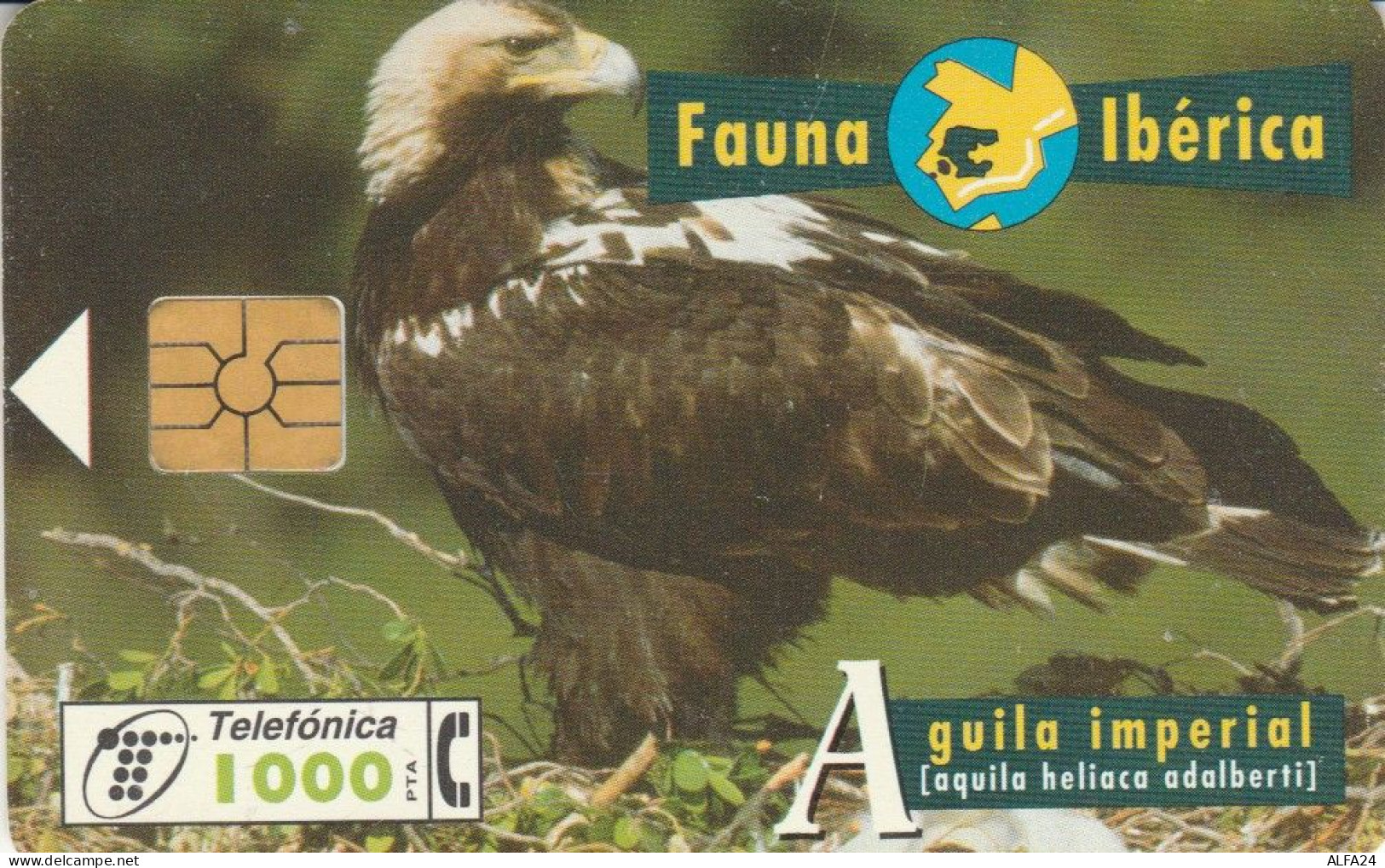PHONE CARD SPAGNA FAUNA IBERICA (CK7186 - Basisausgaben