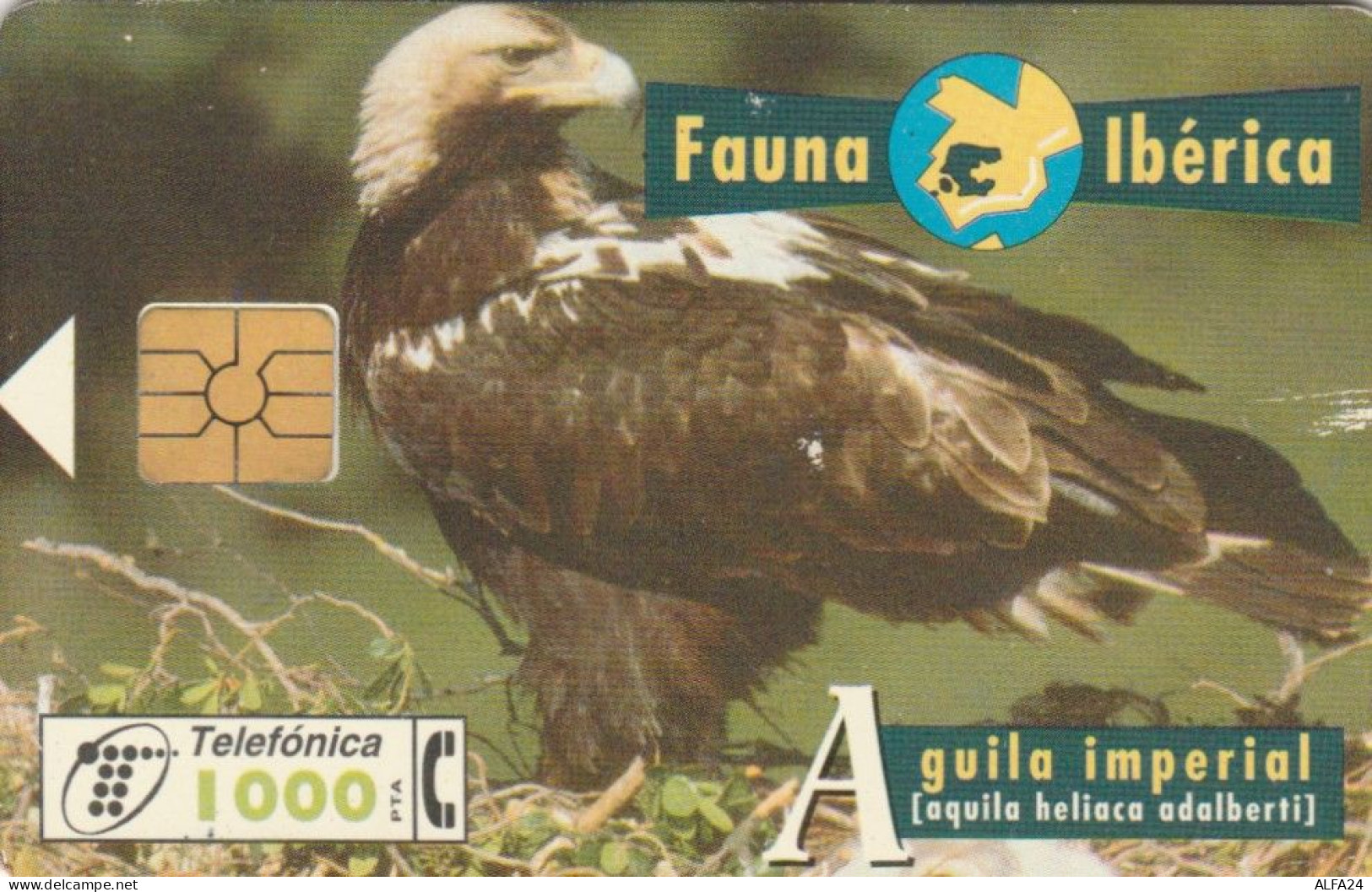 PHONE CARD SPAGNA FAUNA IBERICA (CK7188 - Basisausgaben