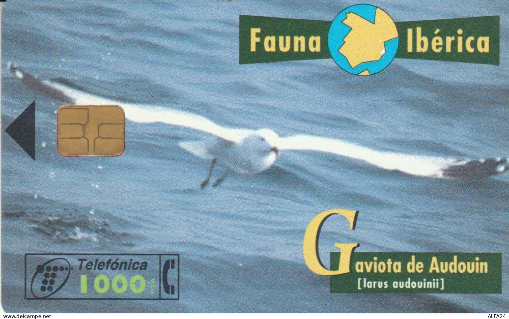 PHONE CARD SPAGNA FAUNA IBERICA (CK7194 - Basisausgaben