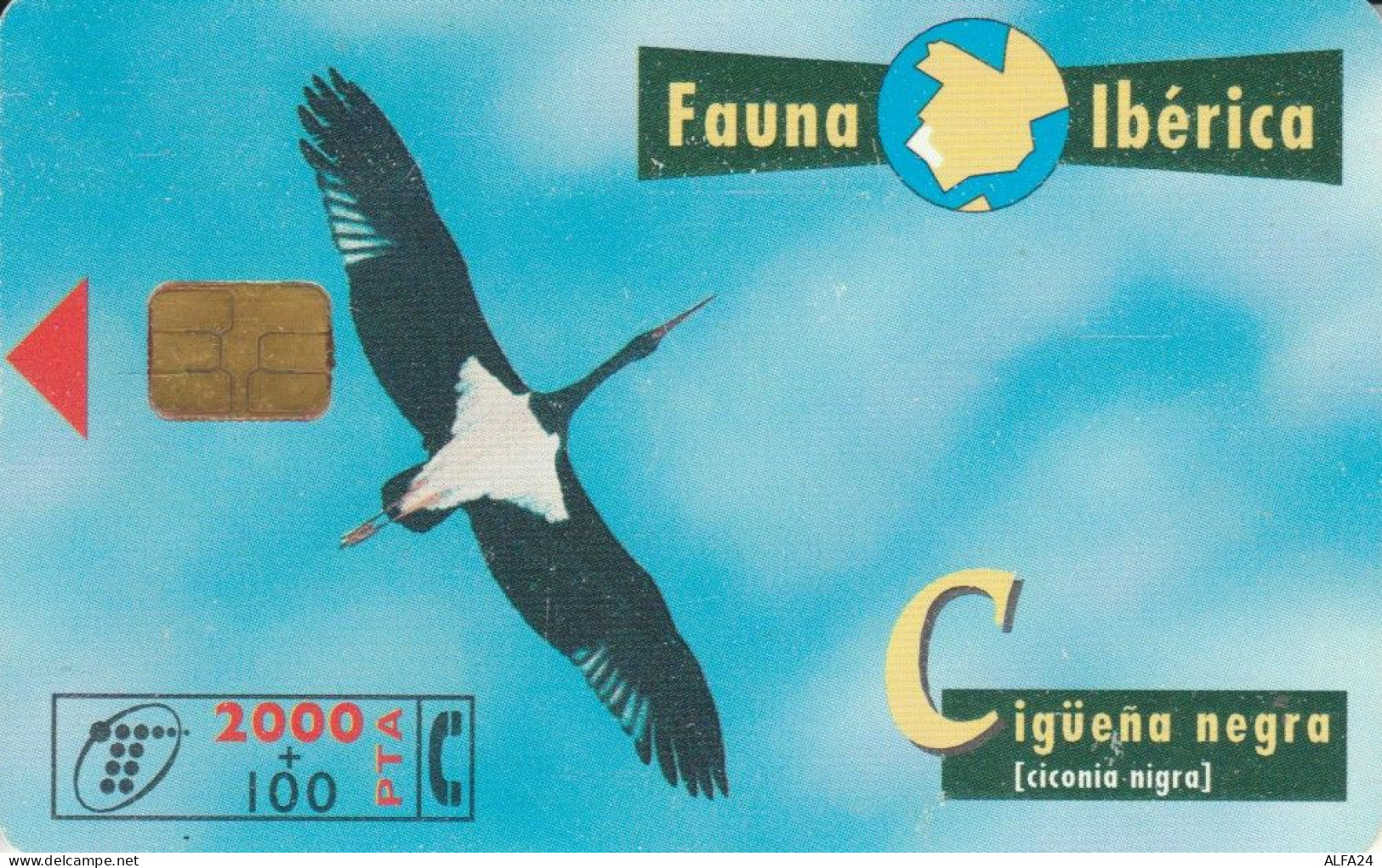 PHONE CARD SPAGNA FAUNA IBERICA (CK7185 - Basisausgaben