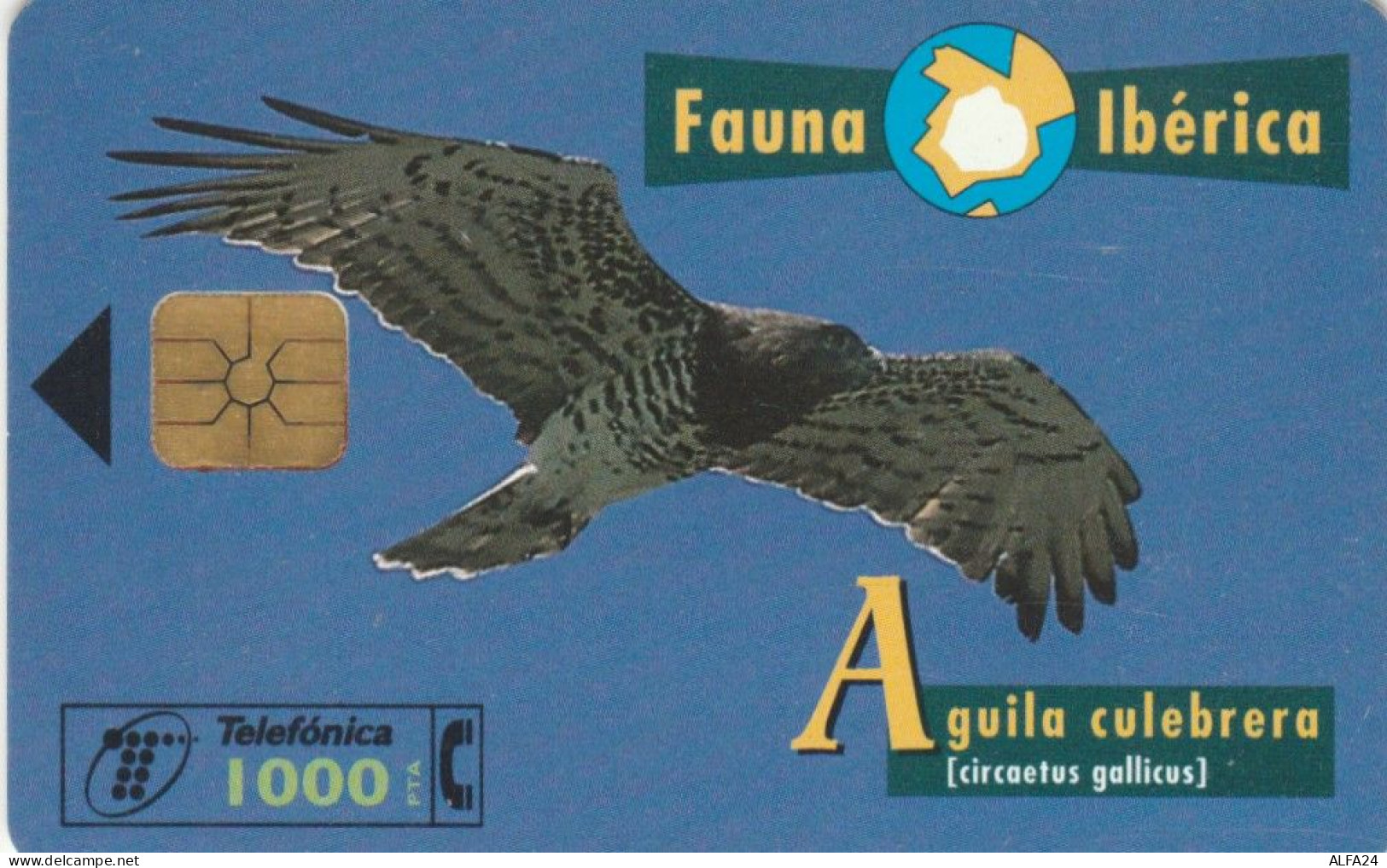PHONE CARD SPAGNA FAUNA IBERICA (CK7190 - Emissions Basiques