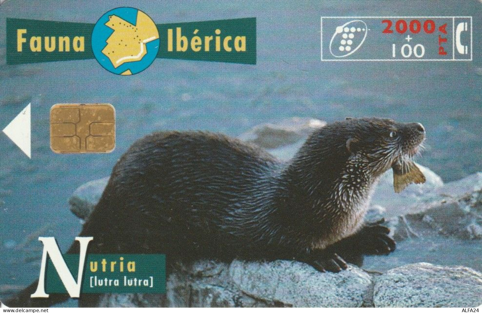 PHONE CARD SPAGNA FAUNA IBERICA (CK7191 - Emisiones Básicas