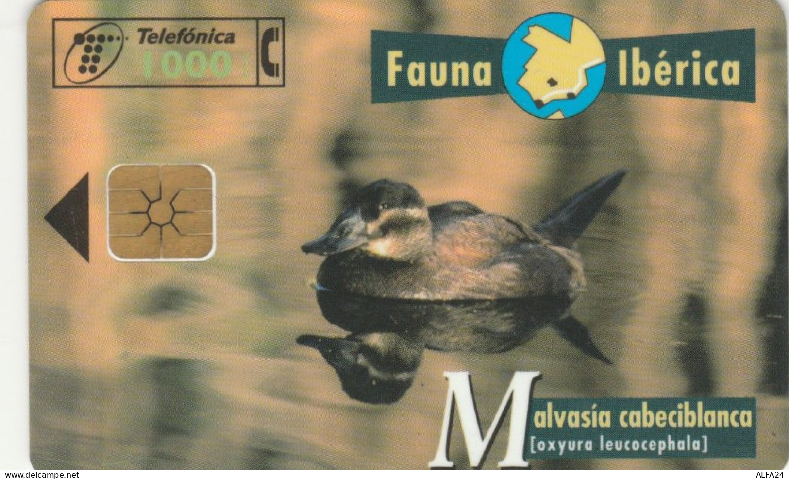 PHONE CARD SPAGNA FAUNA IBERICA (CK7184 - Emisiones Básicas