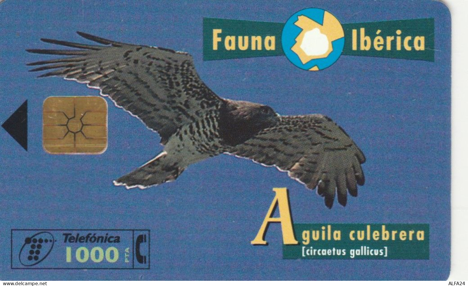 PHONE CARD SPAGNA FAUNA IBERICA (CK7189 - Basisausgaben