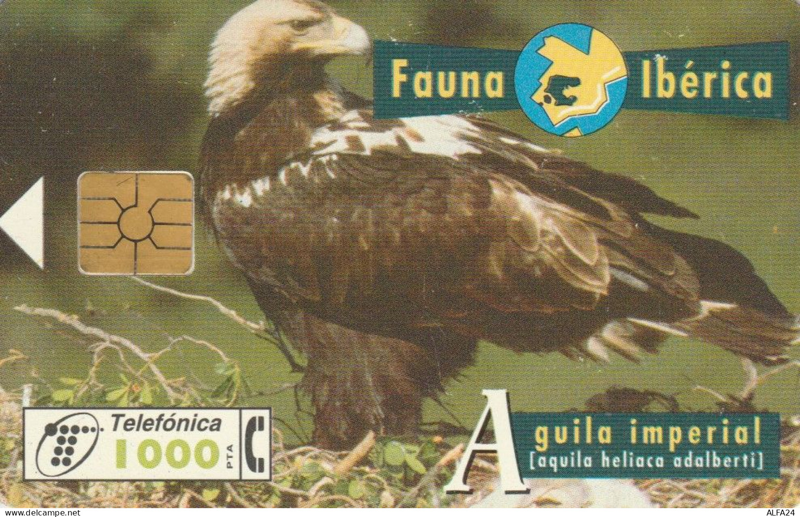 PHONE CARD SPAGNA FAUNA IBERICA (CK7187 - Emissions Basiques