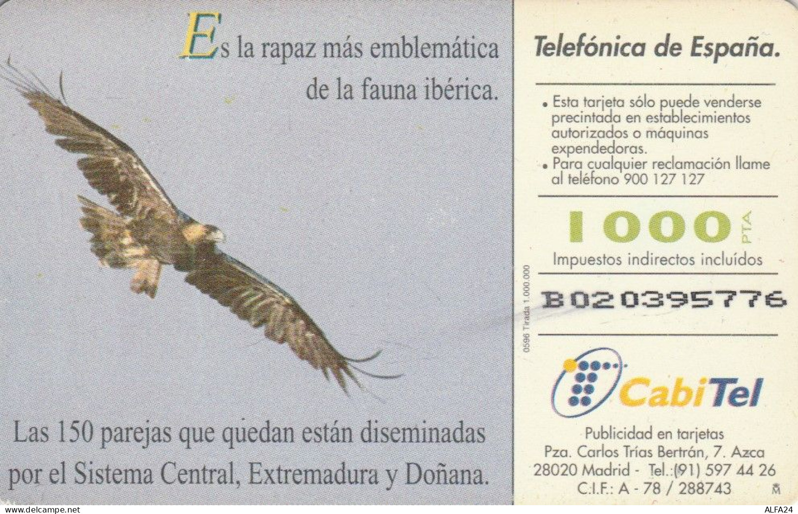 PHONE CARD SPAGNA FAUNA IBERICA (CK7187 - Emissions Basiques