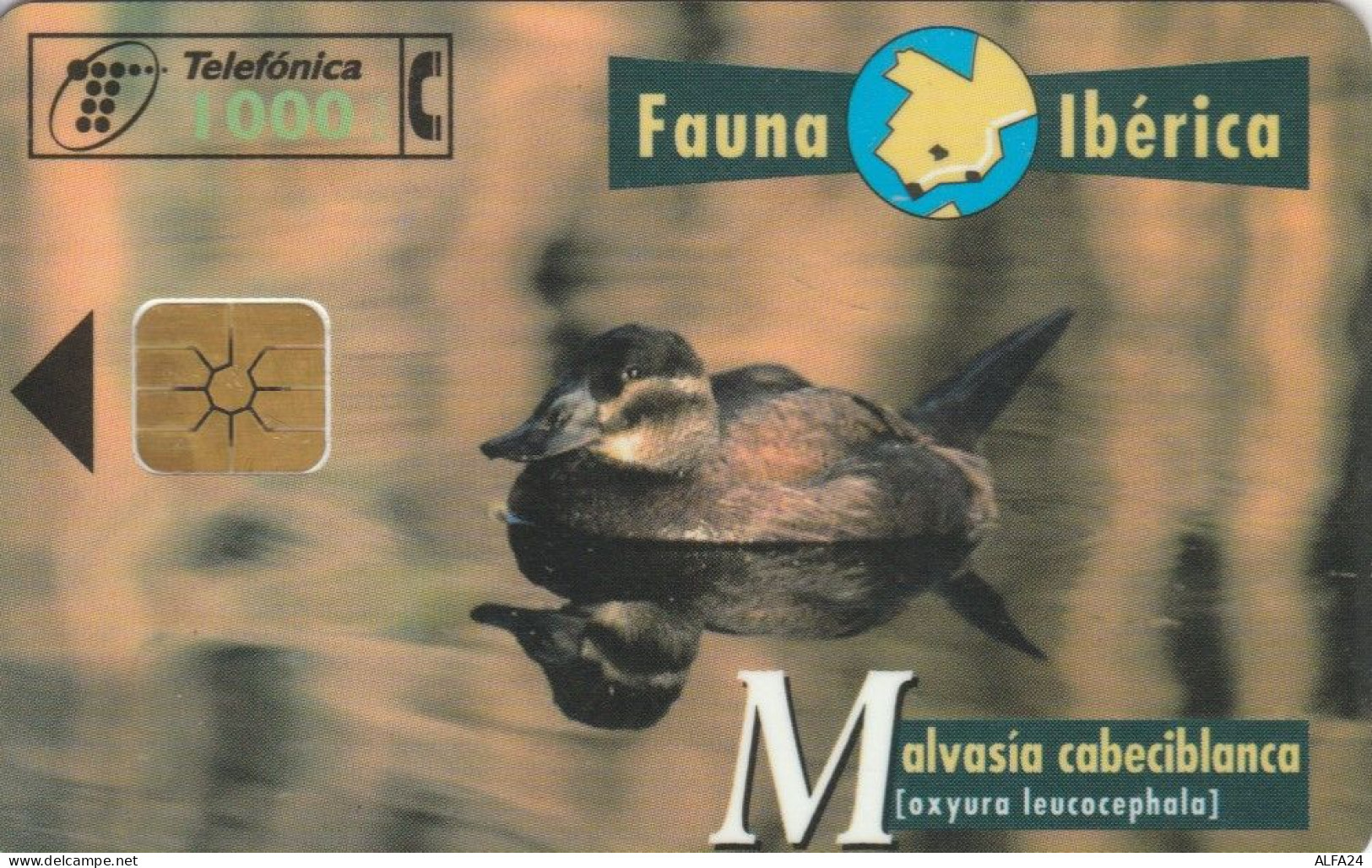 PHONE CARD SPAGNA FAUNA IBERICA (CK7183 - Emissions Basiques