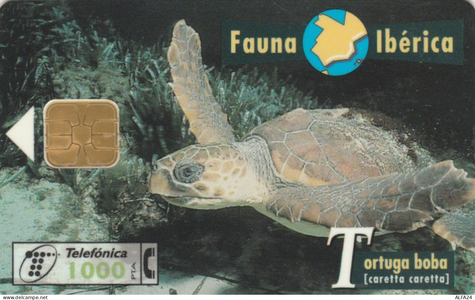 PHONE CARD SPAGNA FAUNA IBERICA (CK7216 - Emissions Basiques