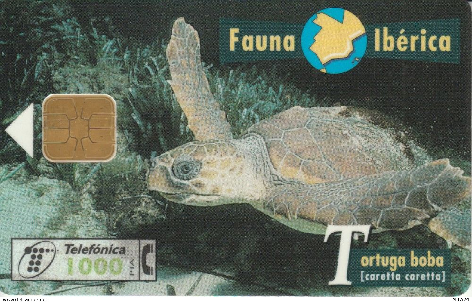 PHONE CARD SPAGNA FAUNA IBERICA (CK7201 - Emissioni Di Base