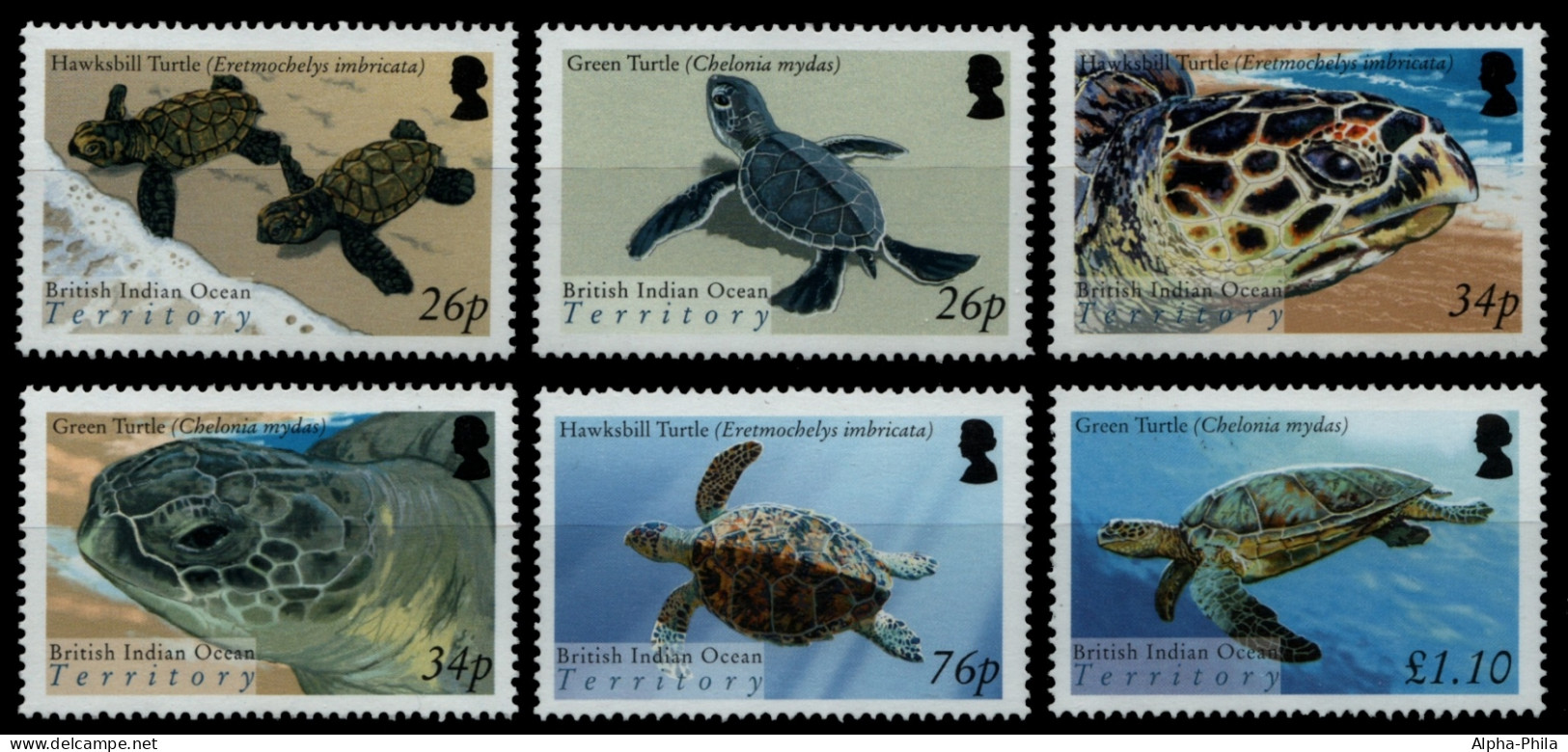 BIOT 2005 - Mi-Nr. 356-361 ** - MNH - Schildkröten / Turtles - Britisches Territorium Im Indischen Ozean