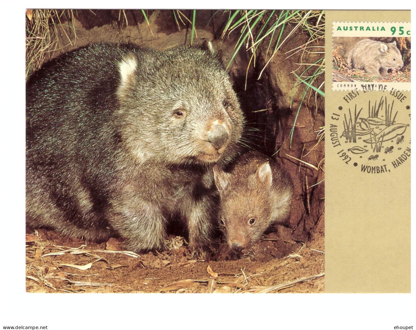 FDC 13 AOUT 1992 COMMON WOMBAT - Cartes-Maximum (CM)