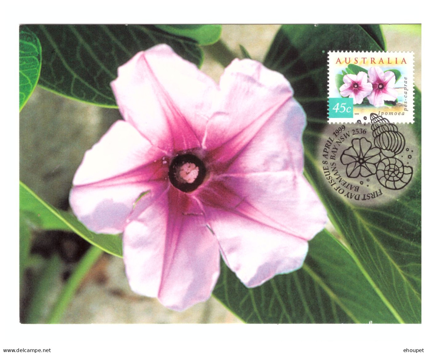 FDC 8 AVRIL 1999 IPOMOEA PES CAPRAE - Maximumkarten (MC)