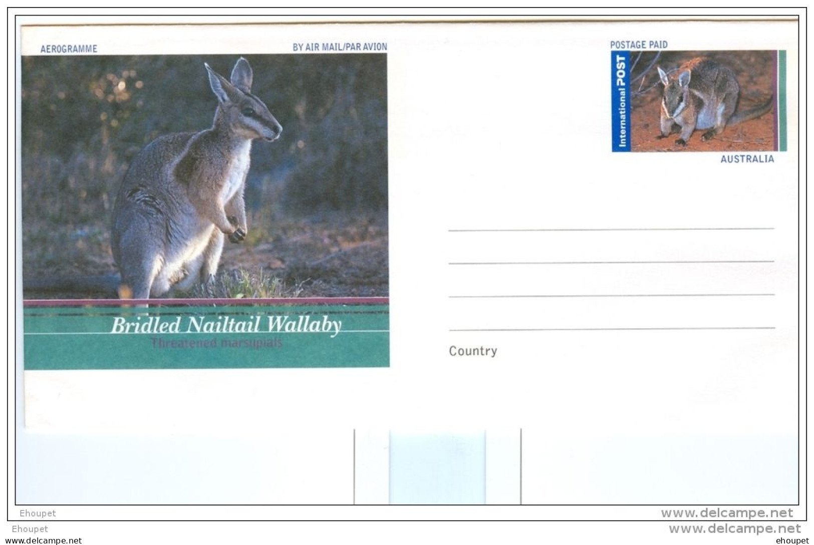 AEROGRAMME NUMBAT THREATENED MARSUPIALS - Luchtpostbladen