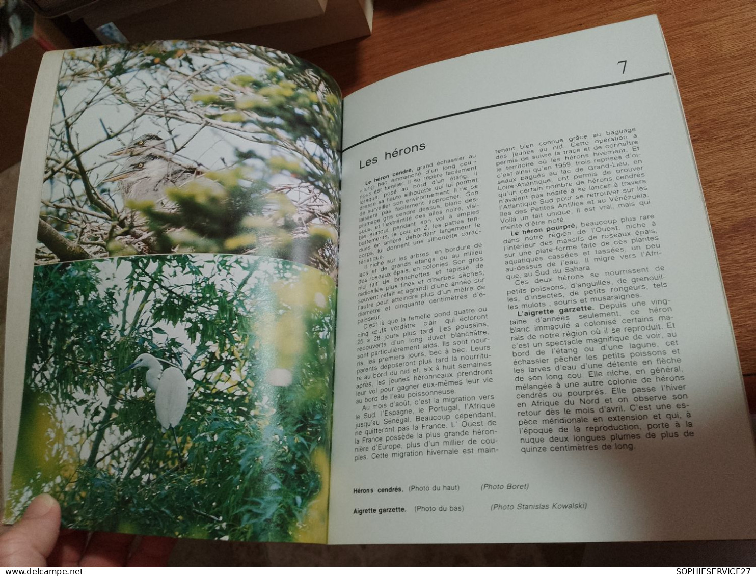 147 // LES OISEAUX DU MARAIS  / OUEST FRANCE  32 PAGES - Animaux