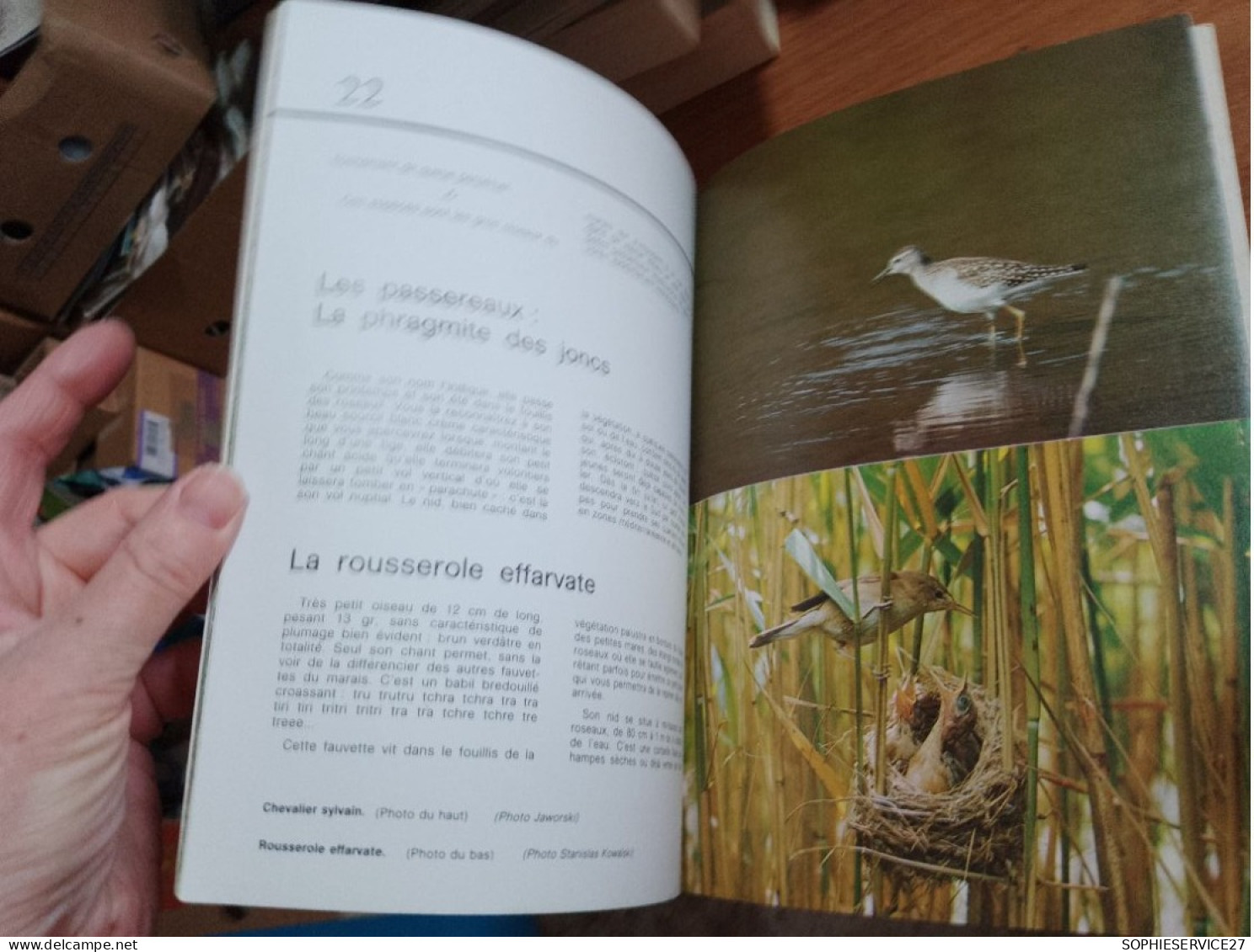 147 // LES OISEAUX DU MARAIS  / OUEST FRANCE  32 PAGES - Animales