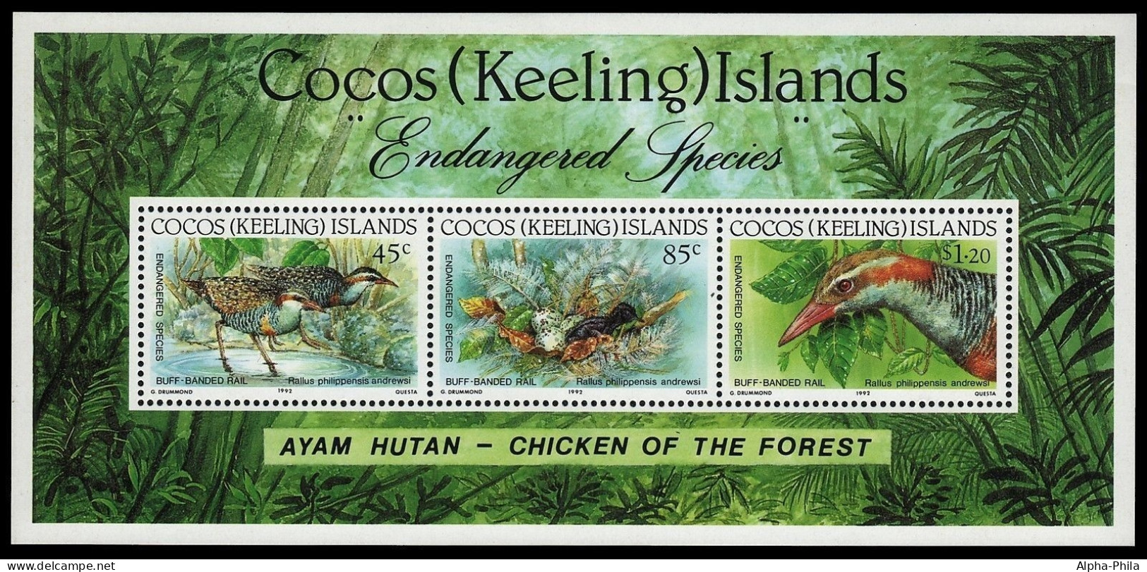 Kokos-Inseln 1992 - Mi-Nr. Block 12 ** - MNH - Vögel / Birds - Cocos (Keeling) Islands