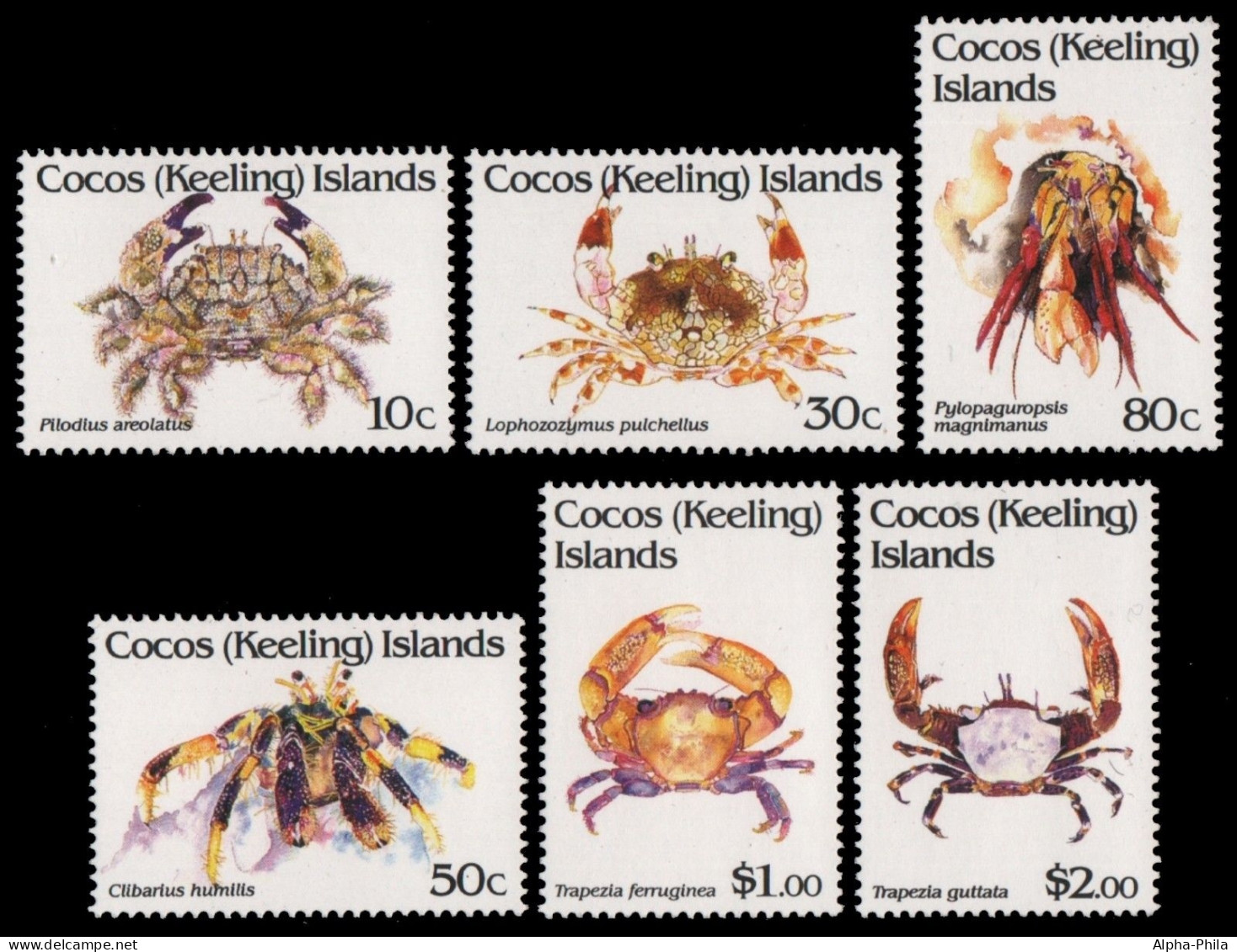 Kokos-Inseln 1992 - Mi-Nr. 274-279 ** - MNH - Krabben / Crabs - Cocos (Keeling) Islands