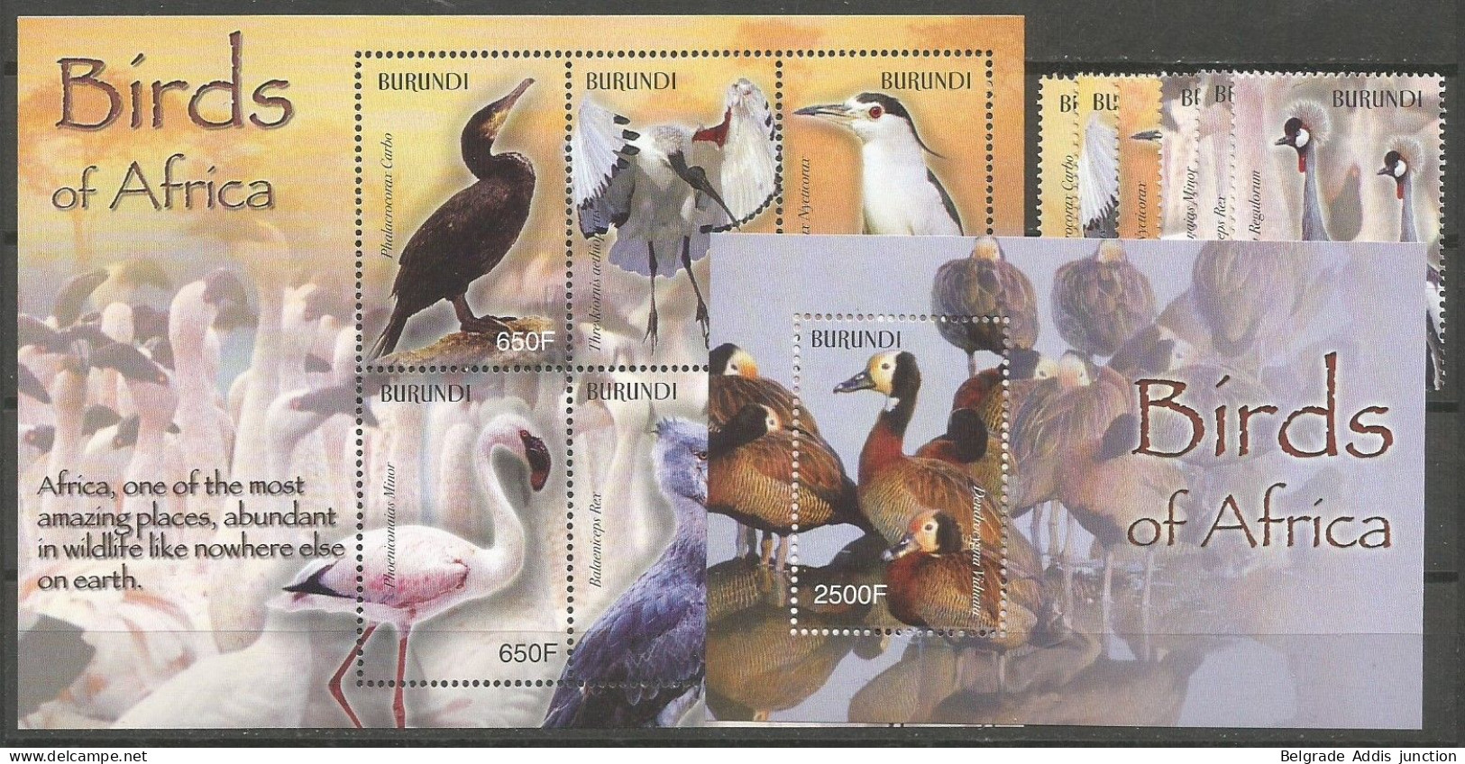 Burundi COB 1126/31 + BL146/147 Série Complète + 2 Blocs Feuillets MNH / ** 2004 Oiseaux Birds - Unused Stamps