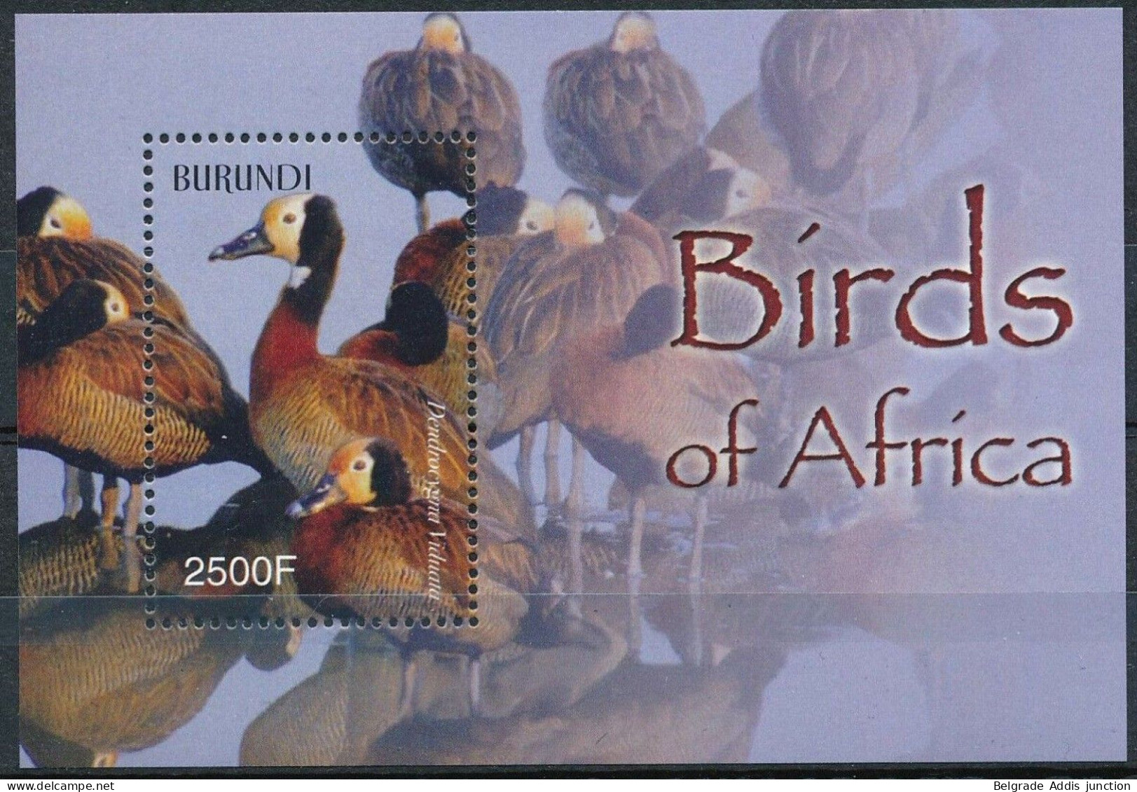 Burundi COB BL147 Bloc Feuillet MNH / ** 2004 Oiseaux Birds - Nuevos