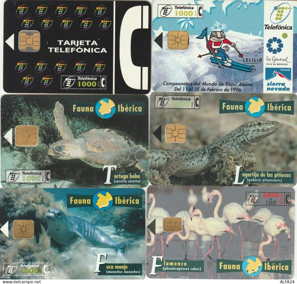 LOTTO 6 SCHEDE TELEFONICHE SPAGNA  (CE0187 - Commémoratives Publicitaires
