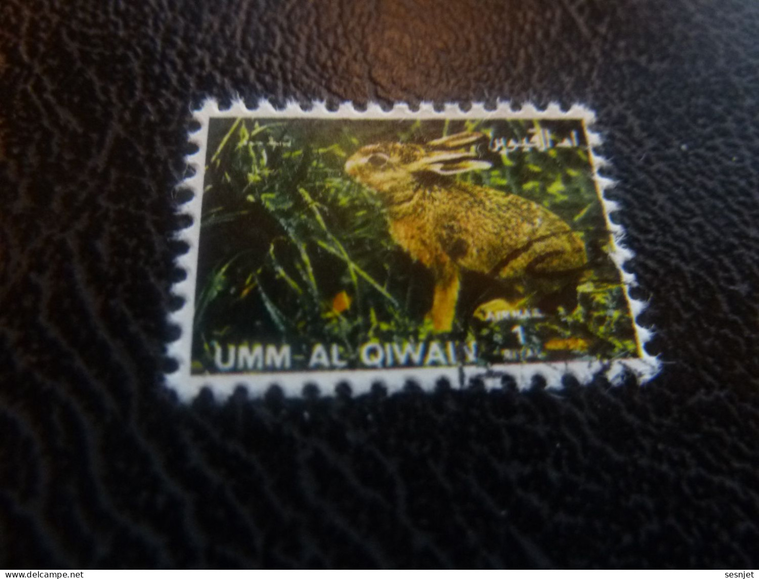 Umm Al Qiwain - Animaux En Voie De Disparition - Lapin - Val 1 Riyal - Air Mail - Oblitéré - Année 1972 - - Lapins
