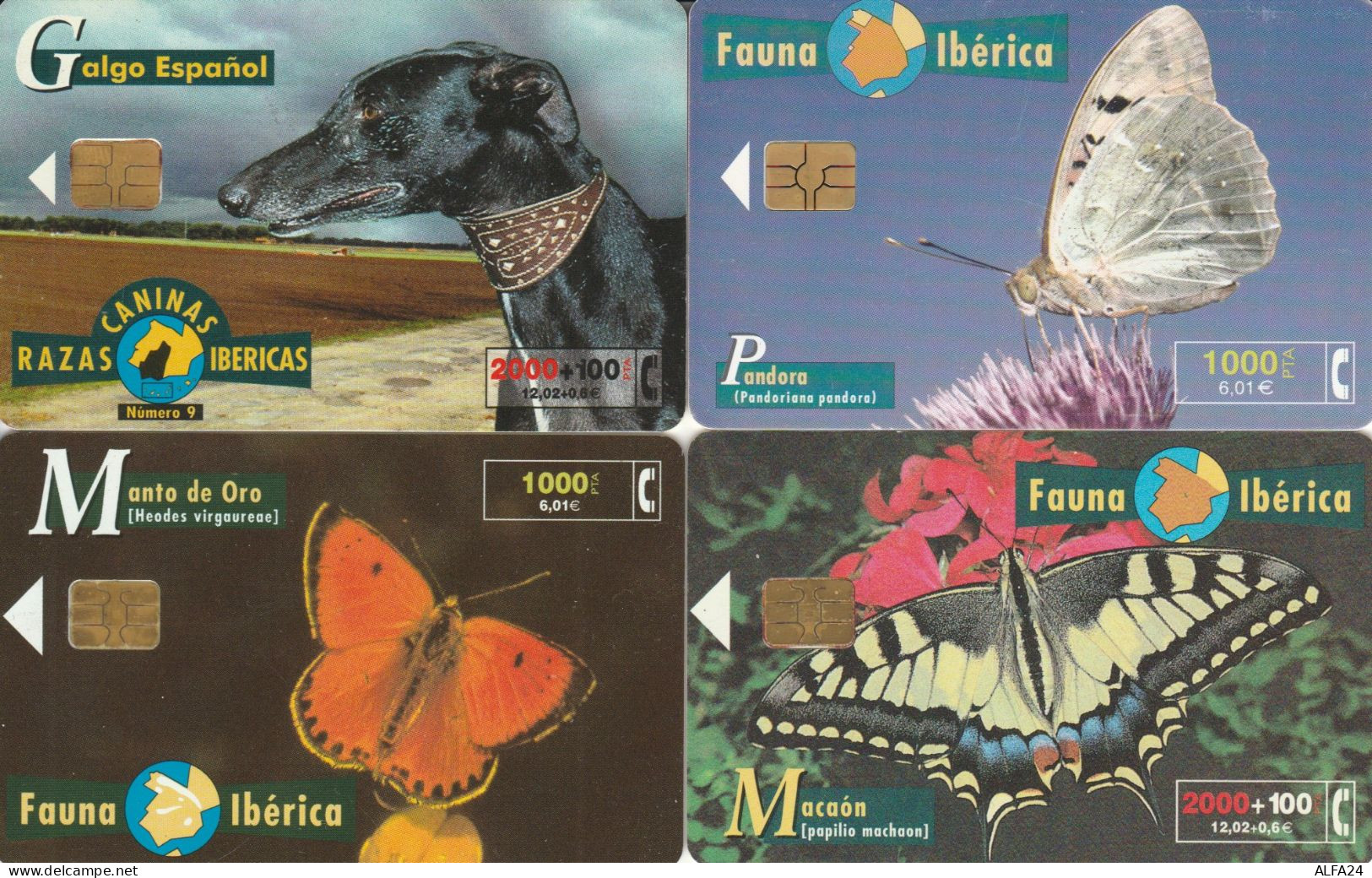 LOT 4 PHONE CARD SPAGNA (PV589 - Otros & Sin Clasificación