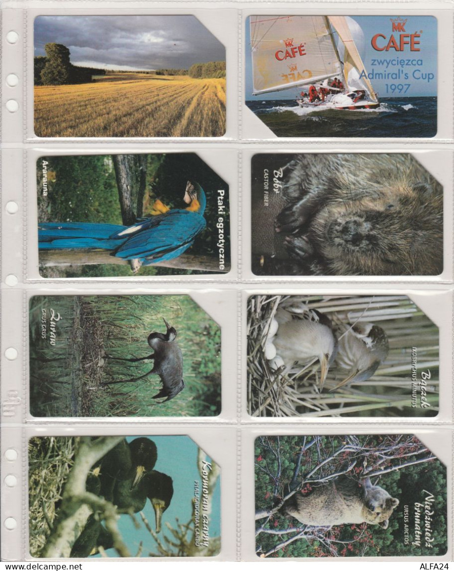 LOT 8 PHONE CARDS POLONIA (PV18 - Poland