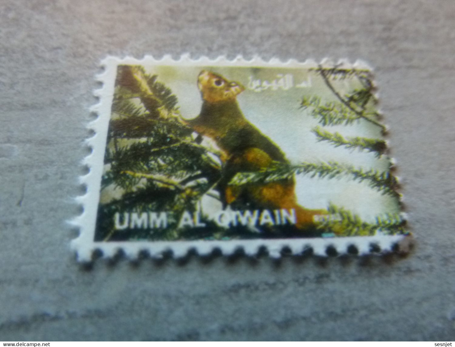 Umm Al Qiwain - Animaux En Voie De Disparition - Ecureuil - Val 1 Riyal - Air Mail - Oblitéré - Année 1972 - - Roedores