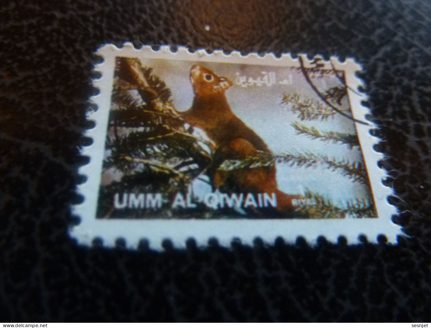Umm Al Qiwain - Animaux En Voie De Disparition - Ecureuil - Val 1 Riyal - Air Mail - Oblitéré - Année 1972 - - Rodents