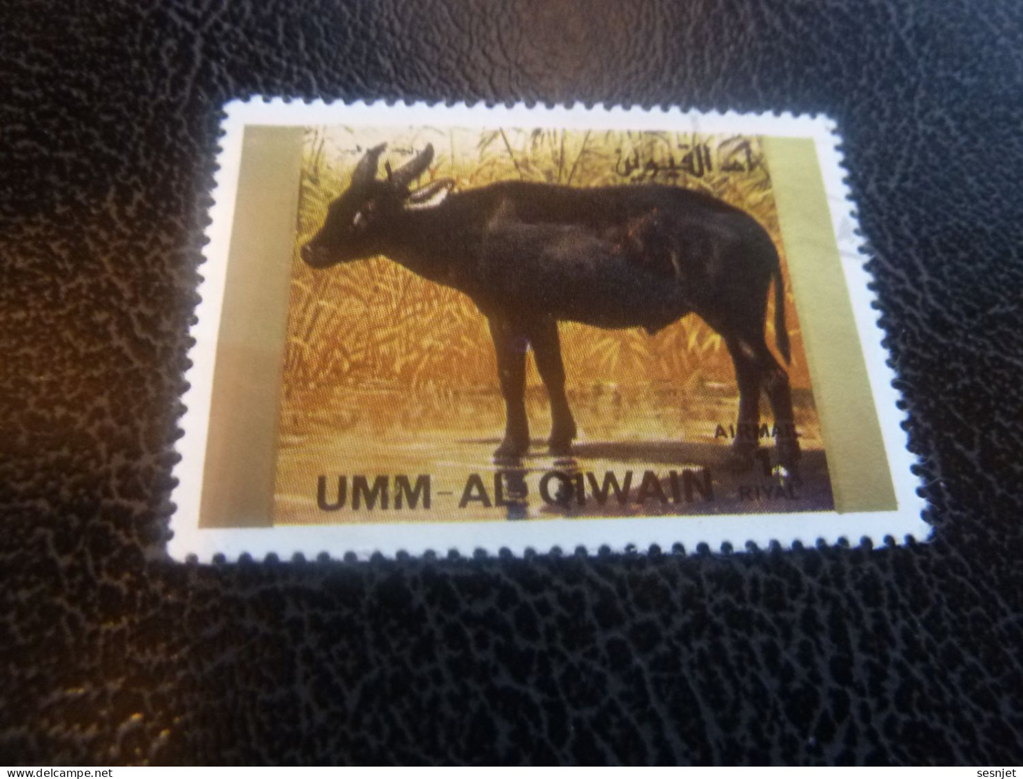 Umm Al Qiwain - Animaux En Voie De Disparition - Bovin - Val 1 Riyal - Air Mail - Oblitéré - Année 1972 - - Vaches