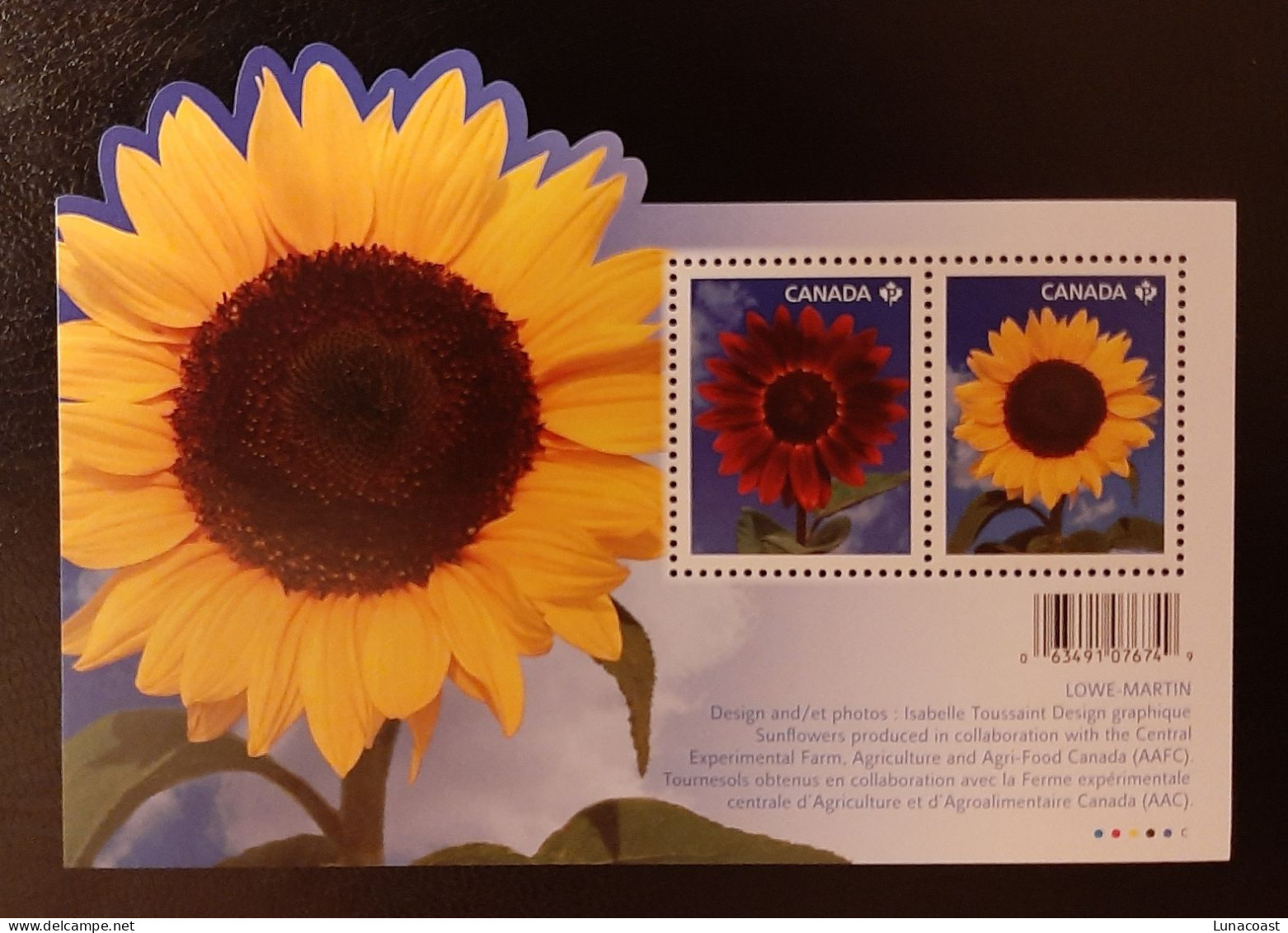 Canada  2011 MNH Sc 2440**  P  Sunflowers Souvenir Sheet - Neufs