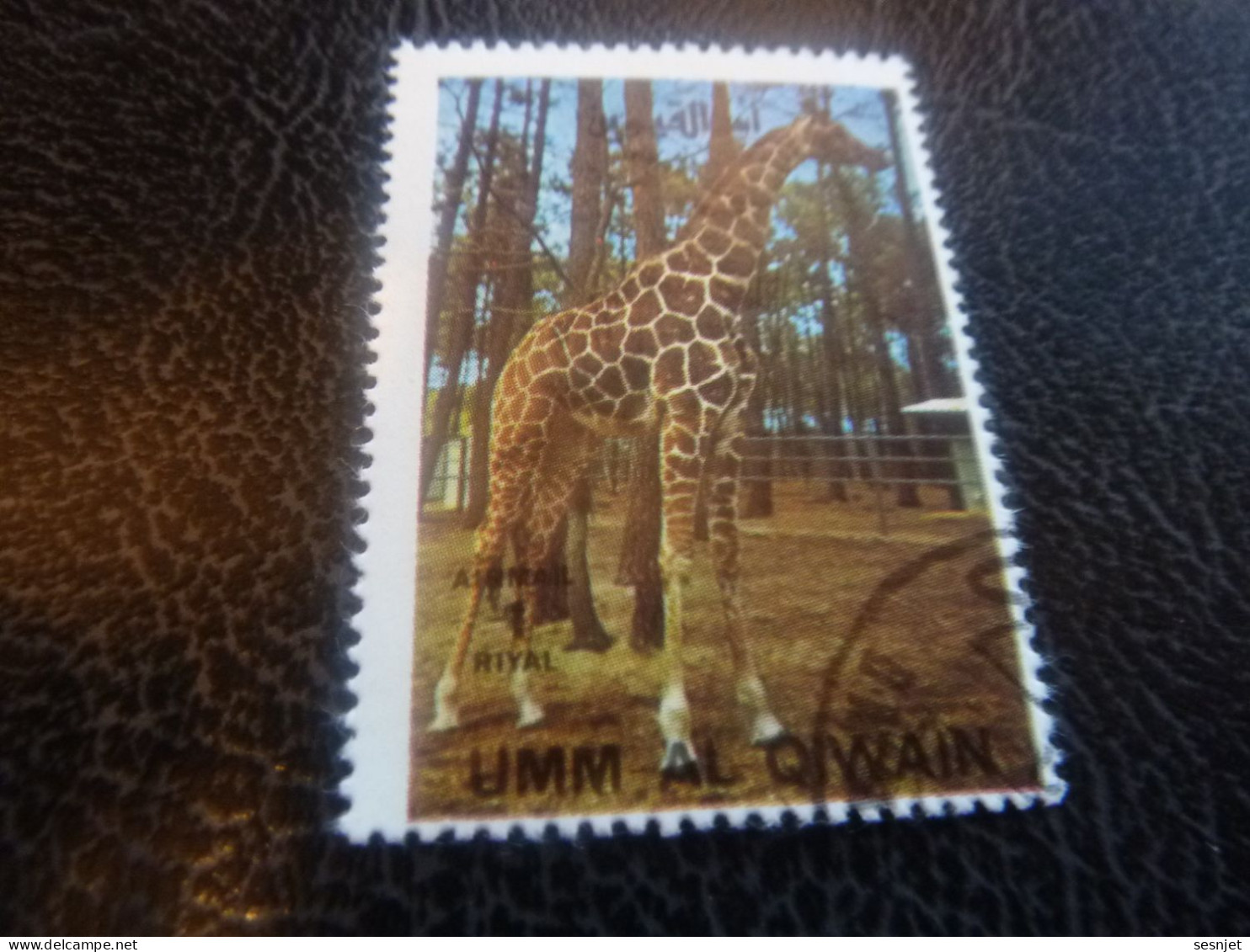 Umm Al Qiwain - Animaux En Voie De Disparition - Girafe - Val 1 Riyal - Air Mail - Oblitéré - Année 1972 - - Girafes