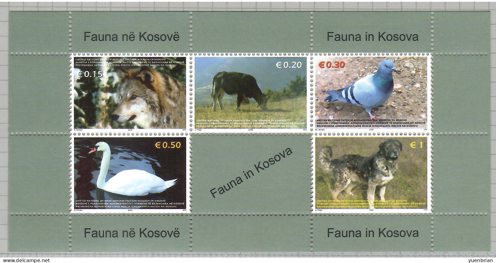 Kosovo 2006, Bird, Birds, Swan, M/S Of 5v, MNH** - Cygnes