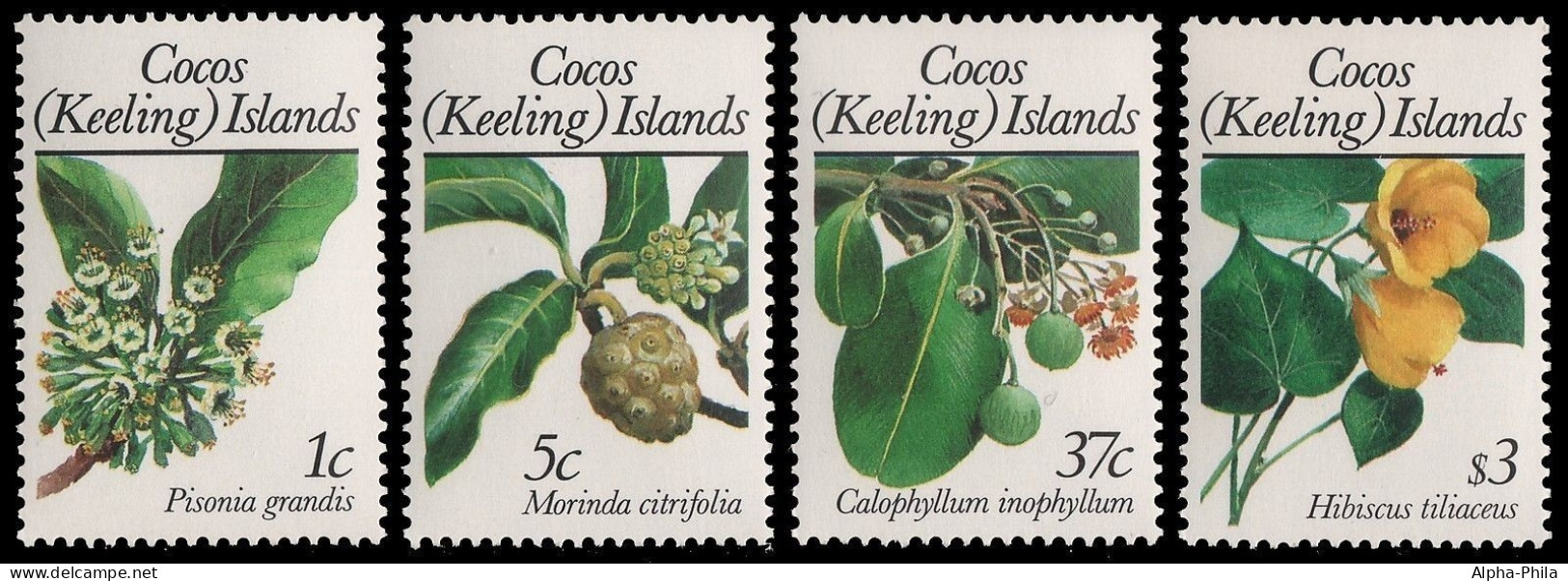 Kokos-Inseln 1988 - Mi-Nr. 198-201 ** - MNH - Blüten / Blossoms - Cocos (Keeling) Islands