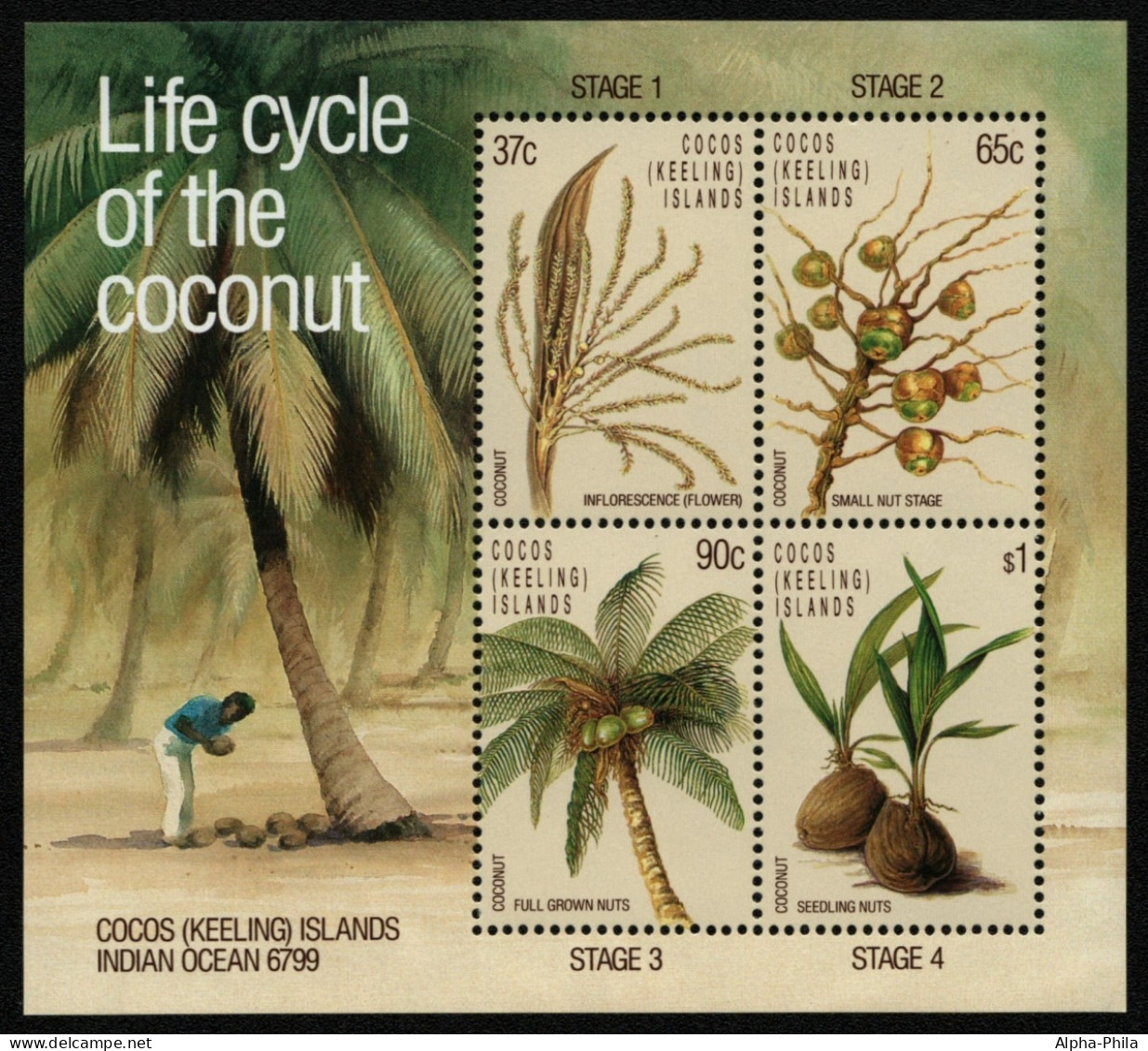 Kokos-Inseln 1988 - Mi-Nr. Block 6 ** - MNH - Pflanzen / Plants - Cocos (Keeling) Islands