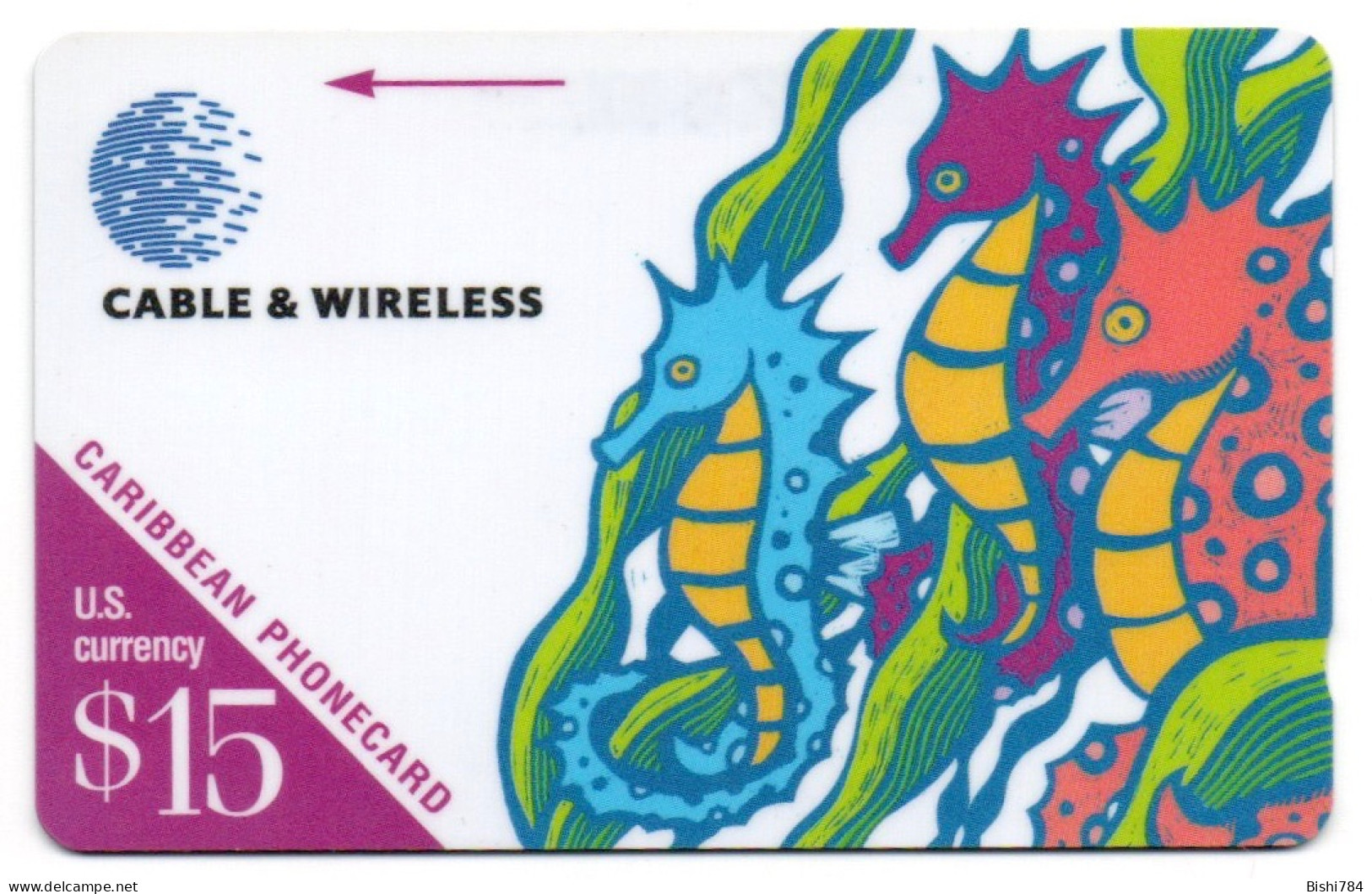 Caribbean General Card (St. Lucia) - Sea Horse - 213BCAB - St. Lucia