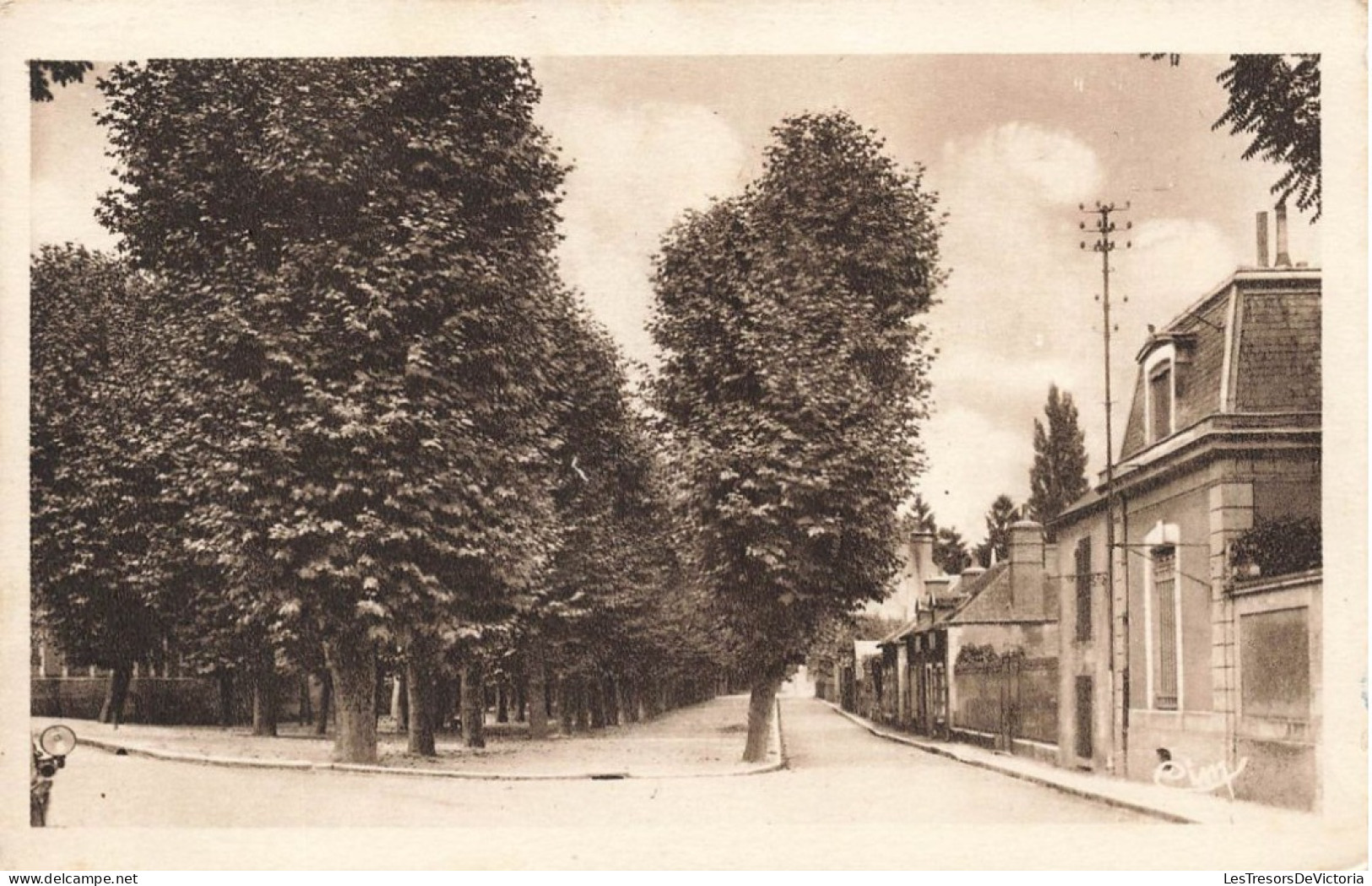 FRANCE - Romorantin - Le Mail Des Platanes - Carte Postale Ancienne - Romorantin