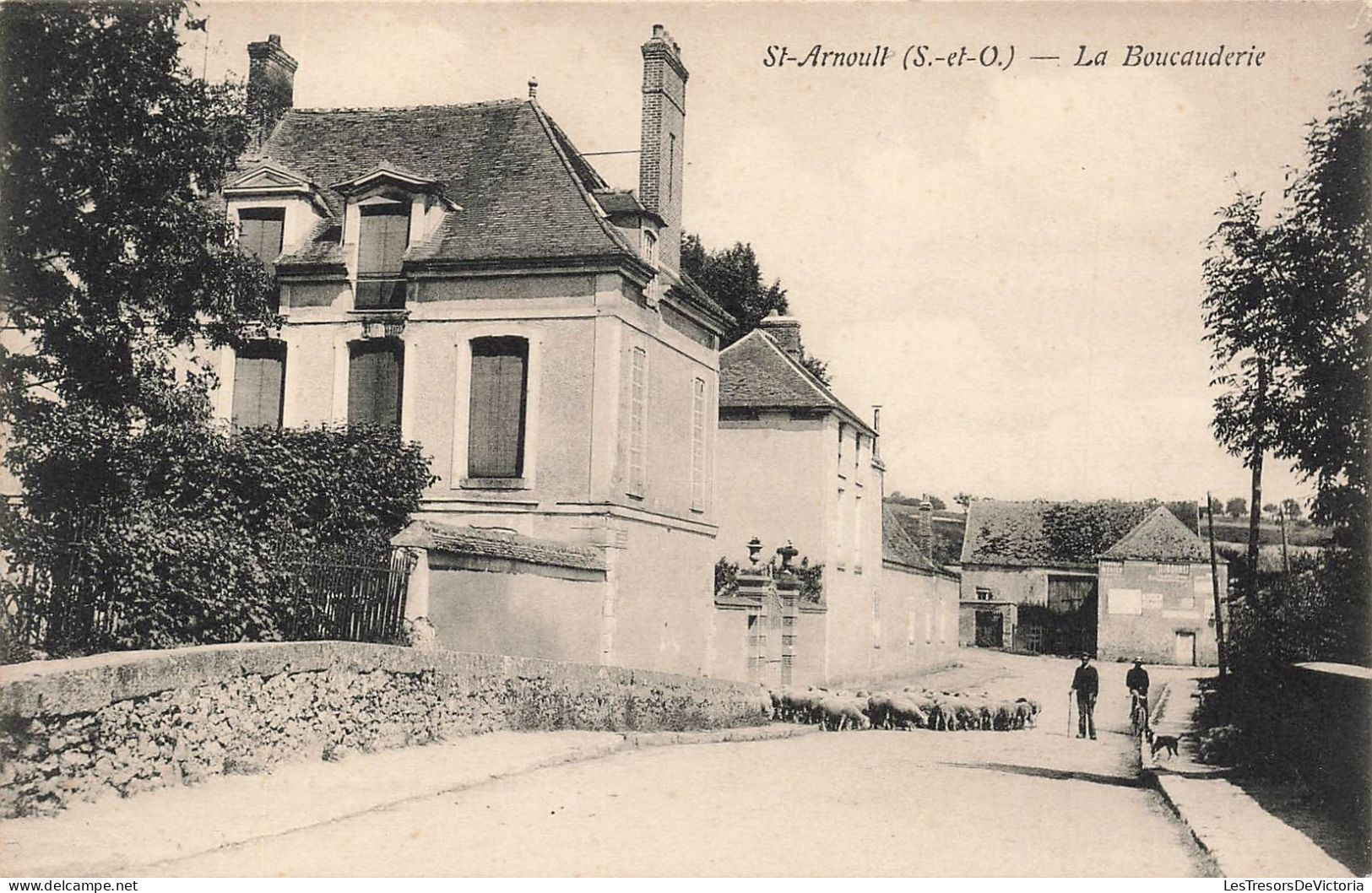 FRANCE - Saint Arnoull - La Boucauderie - Un Berger Et Son Troupeau De Moutons - Carte Postale Ancienne - St. Arnoult En Yvelines