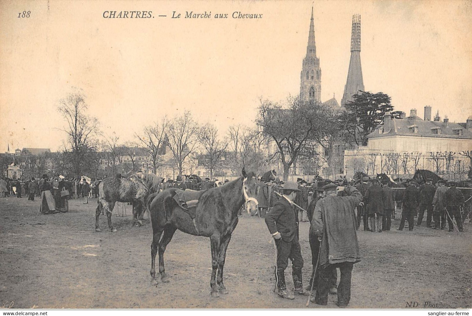 CPA 28 CHARTRES / LE MARCHE AUX CHEVAUX - Chartres