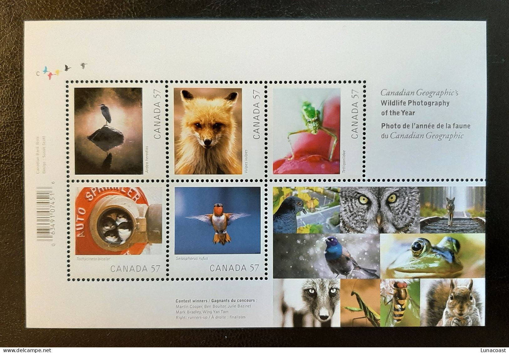 Canada  2010 MNH Sc 2388**  2,85$ Souvenir Sheet, Wildlife Photography - Ongebruikt