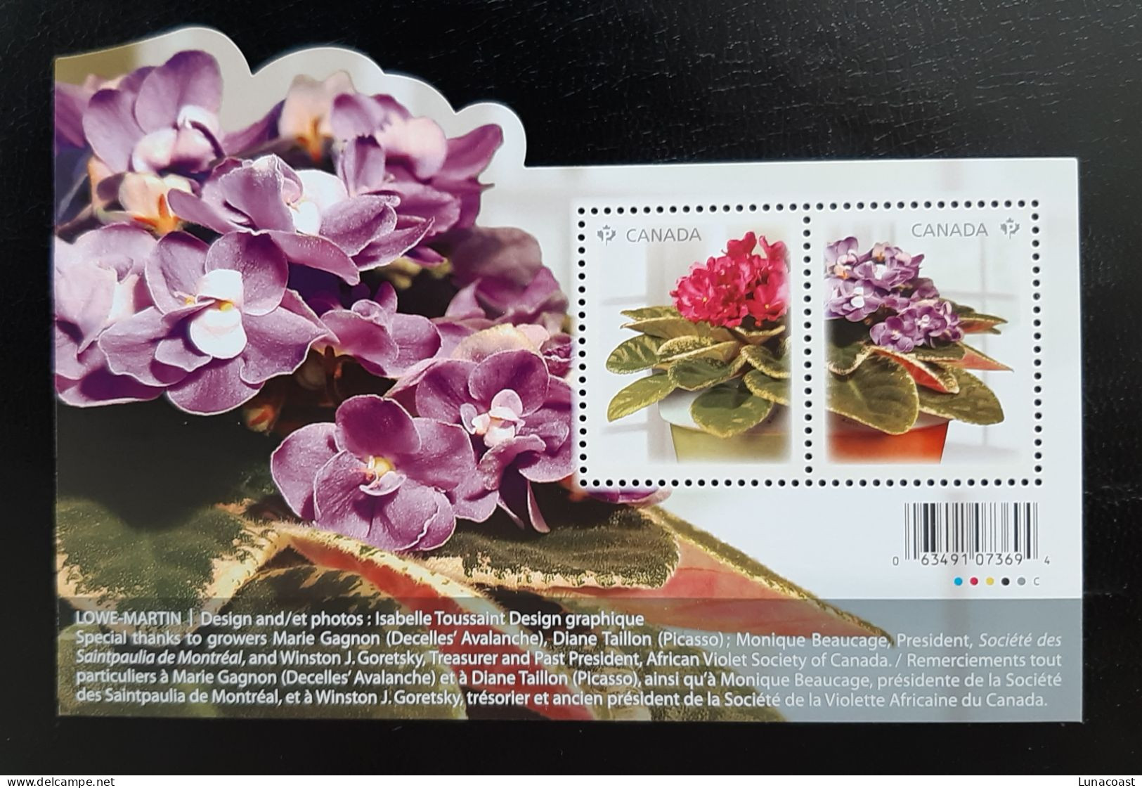 Canada  2010 MNH Sc 2376**  1,14$ Souvenir Sheet, African Violets - Neufs