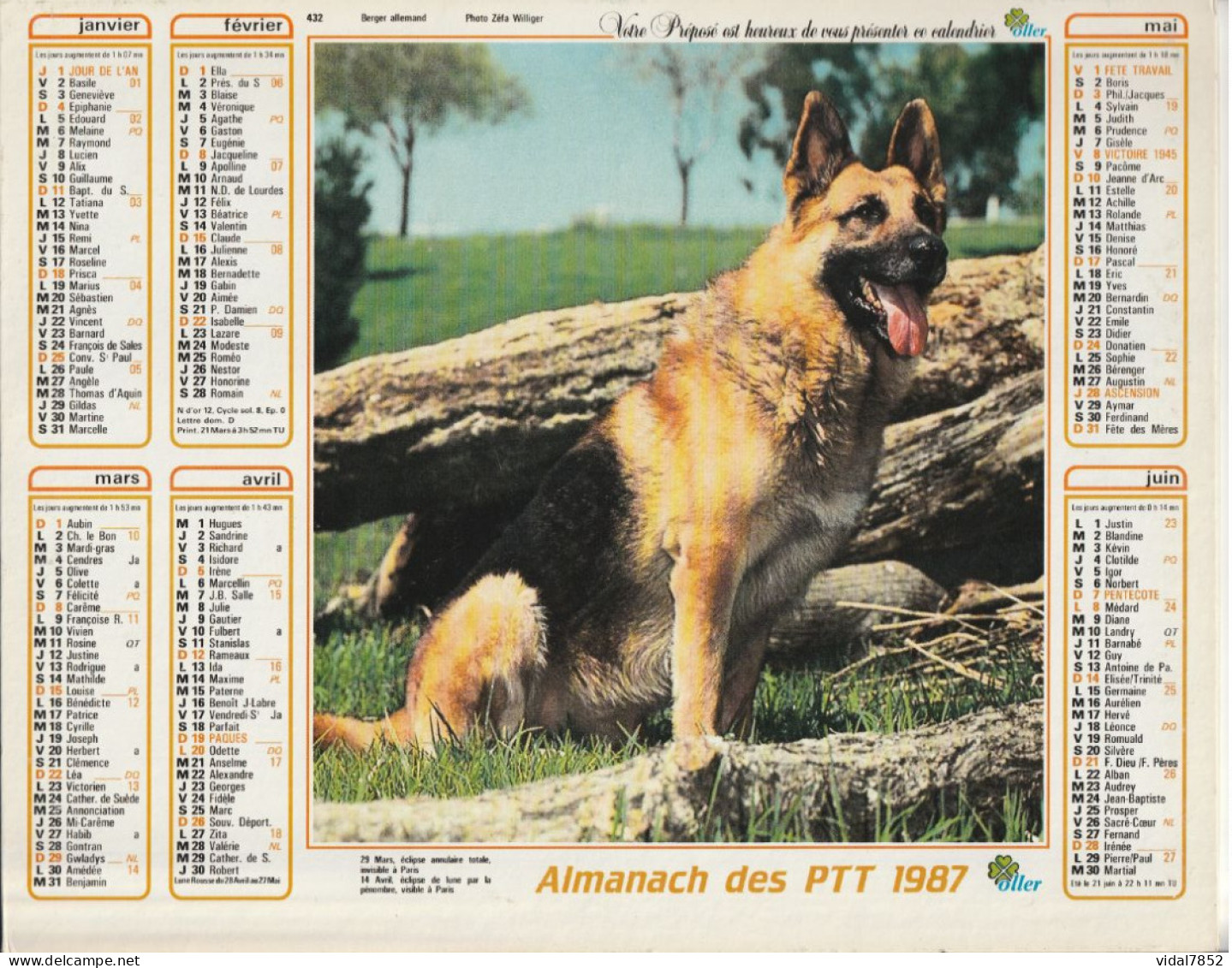 Calendrier-Almanach Des P.T.T 1987 Berger Allemand-Jument Et Poulain -OLLER Département AIN-01-Référence 432 - Groot Formaat: 1981-90