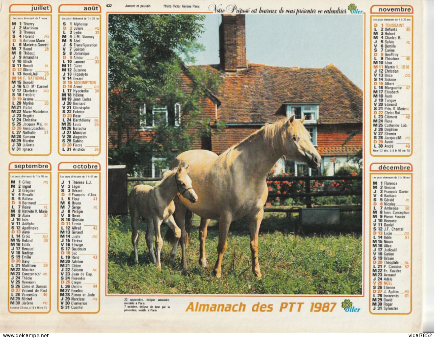 Calendrier-Almanach Des P.T.T 1987 Berger Allemand-Jument Et Poulain -OLLER Département AIN-01-Référence 432 - Grossformat : 1981-90