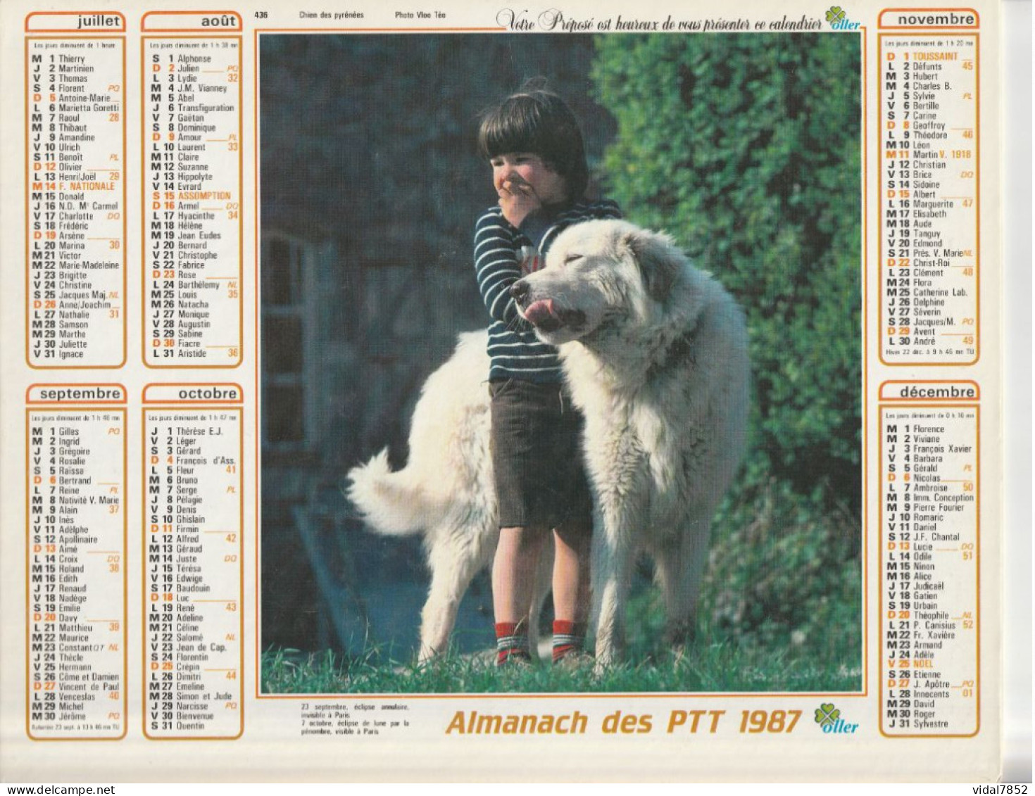 Calendrier-Almanach Des P.T.T 1987-Fillette Et Chaton-Chien Des Pyrénées -OLLER Département AIN-01-Référence 436 - Grand Format : 1981-90