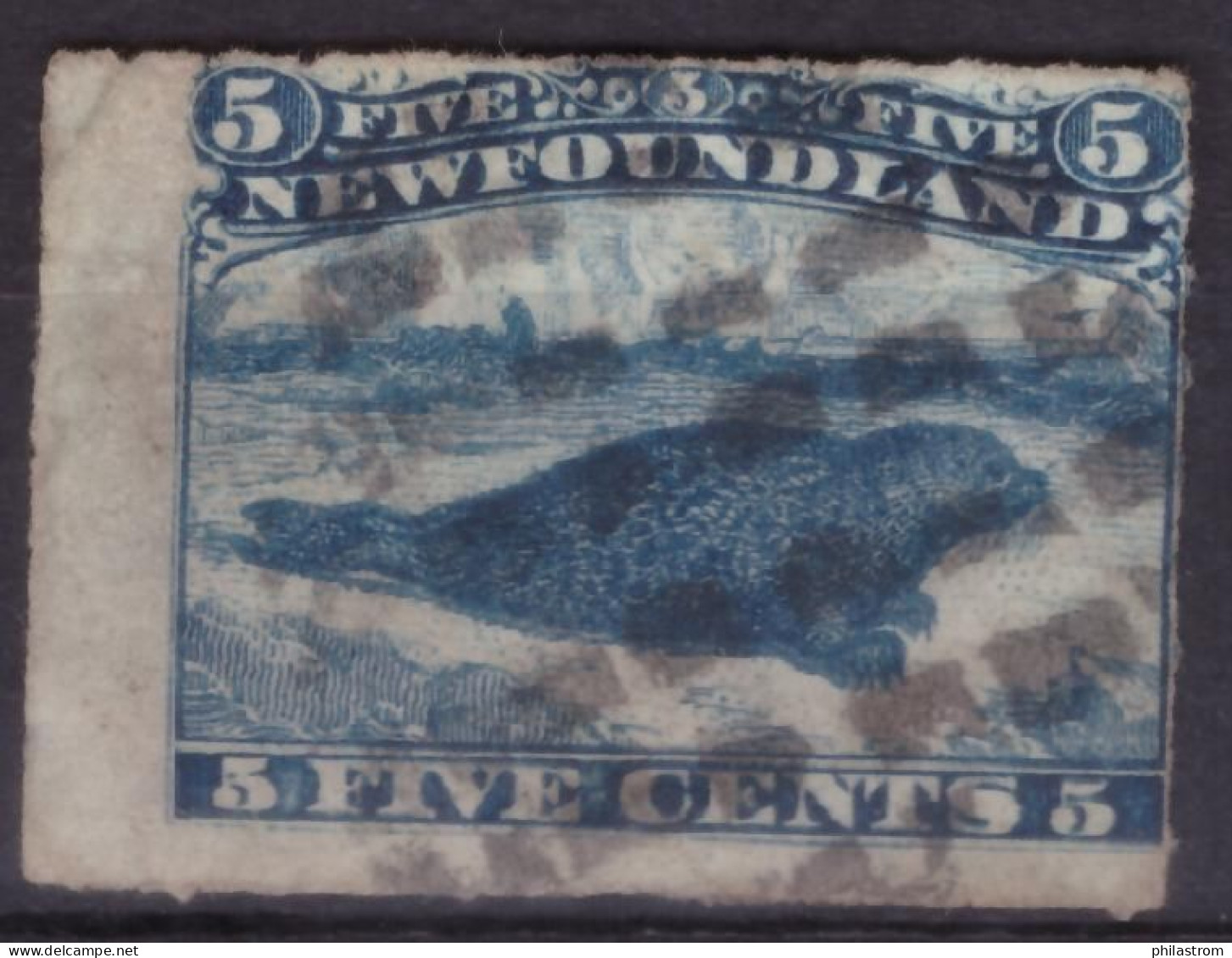 New Foundland  - Five Cents  (ZSUKKL-0025) - 1857-1861