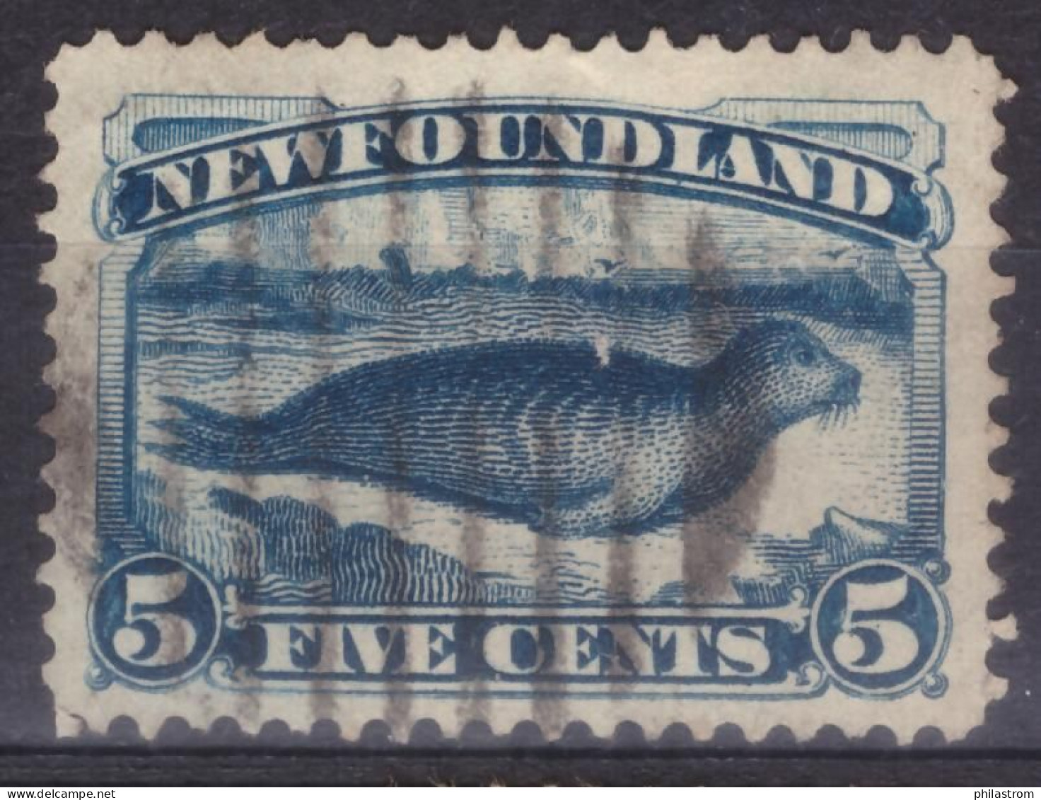 New Foundland  - Five Cents  (ZSUKKL-0034) - 1857-1861